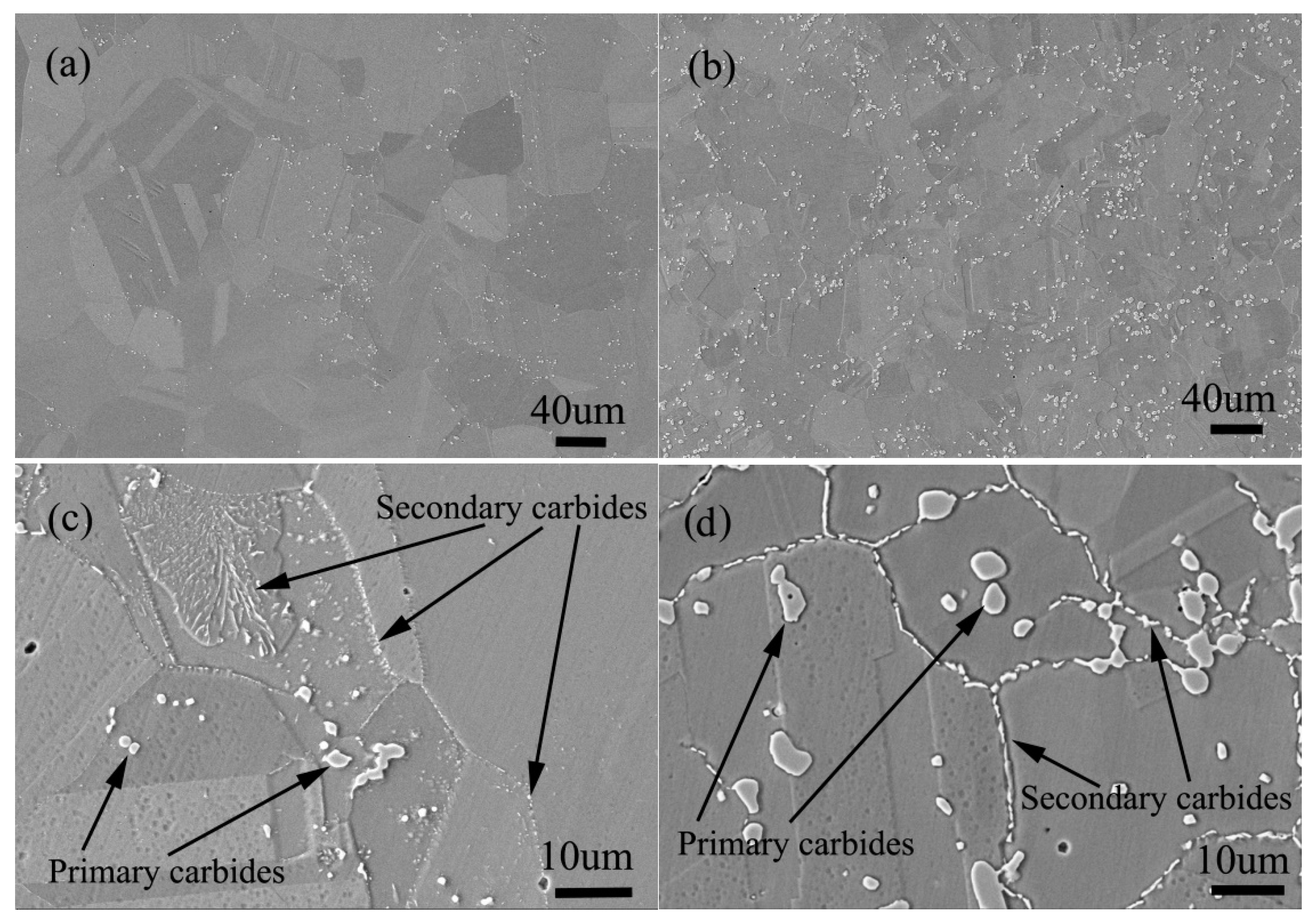 Materials 13 00959 g020