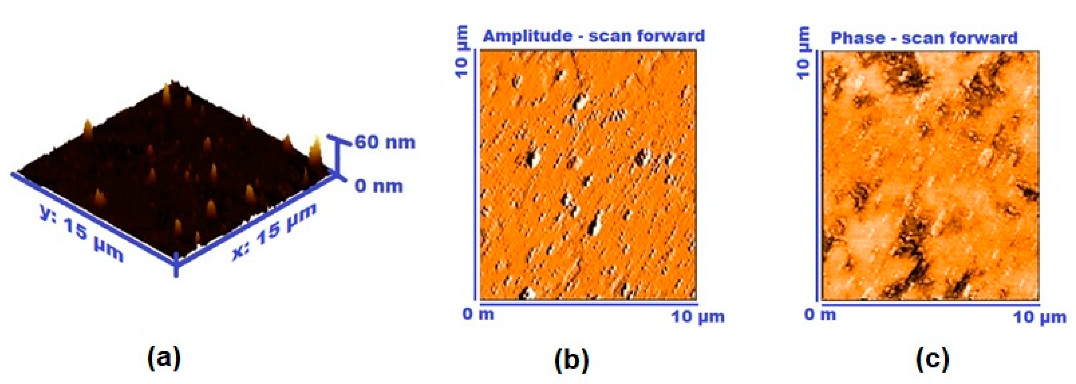 Materials 13 00960 g006