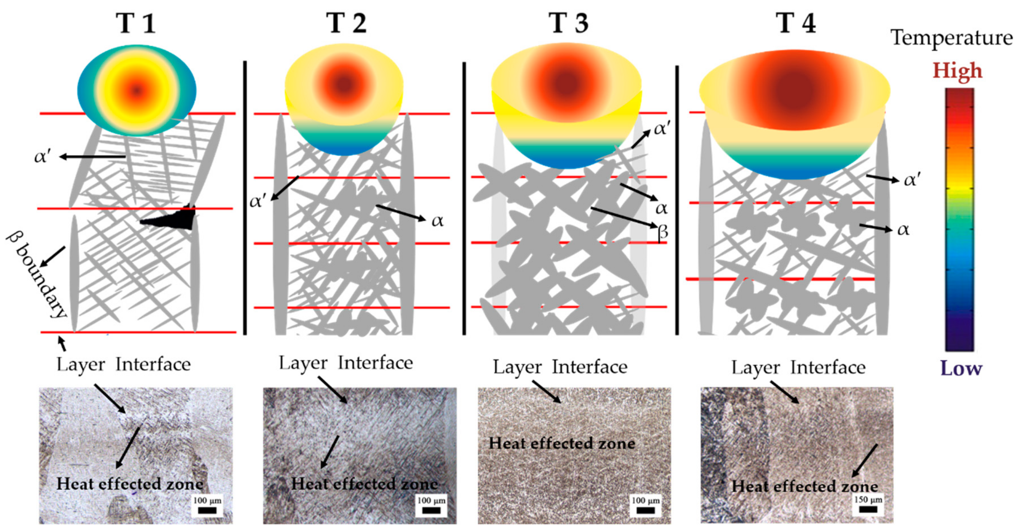 Materials 13 00962 g013