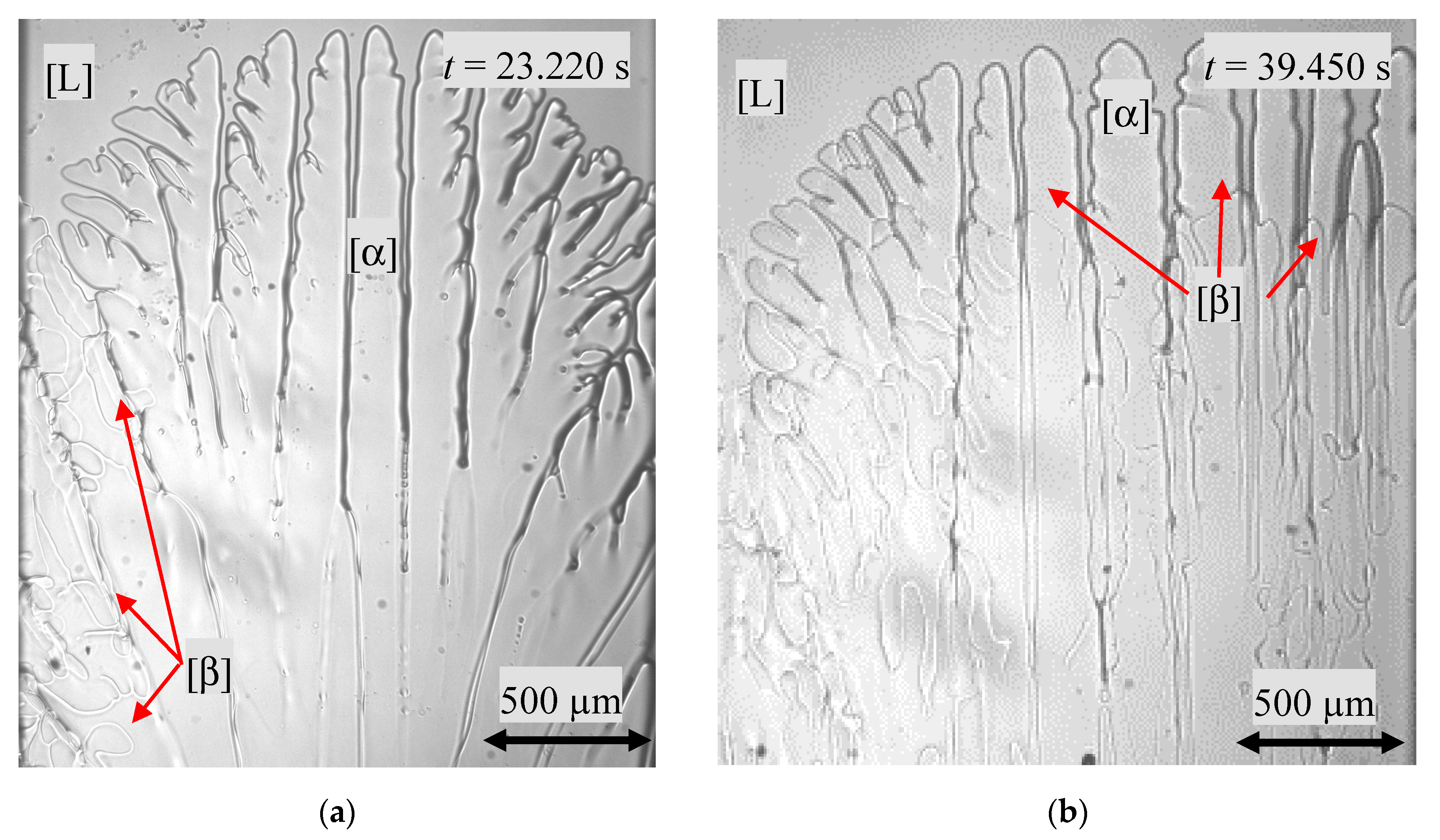 Materials 13 00966 g004