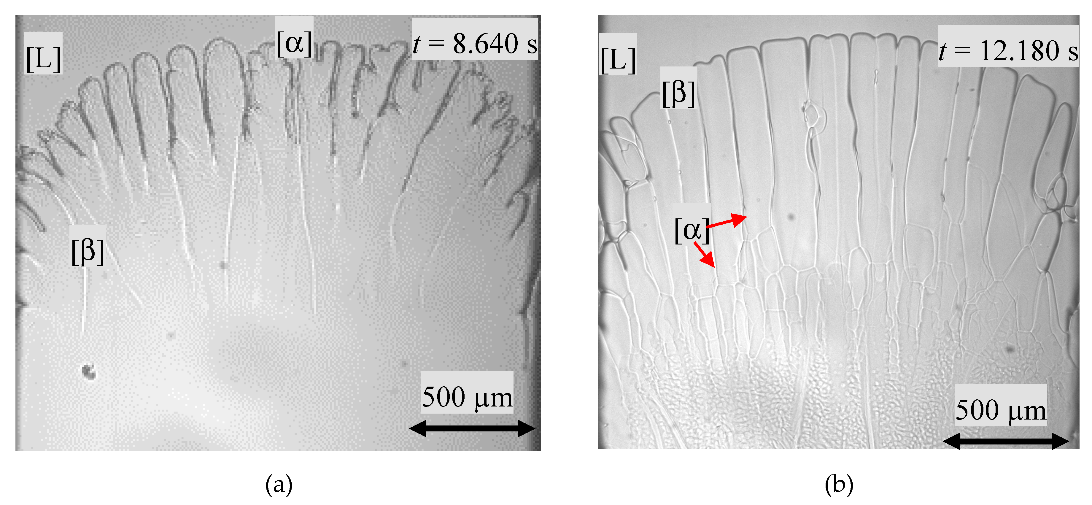 Materials 13 00966 g006