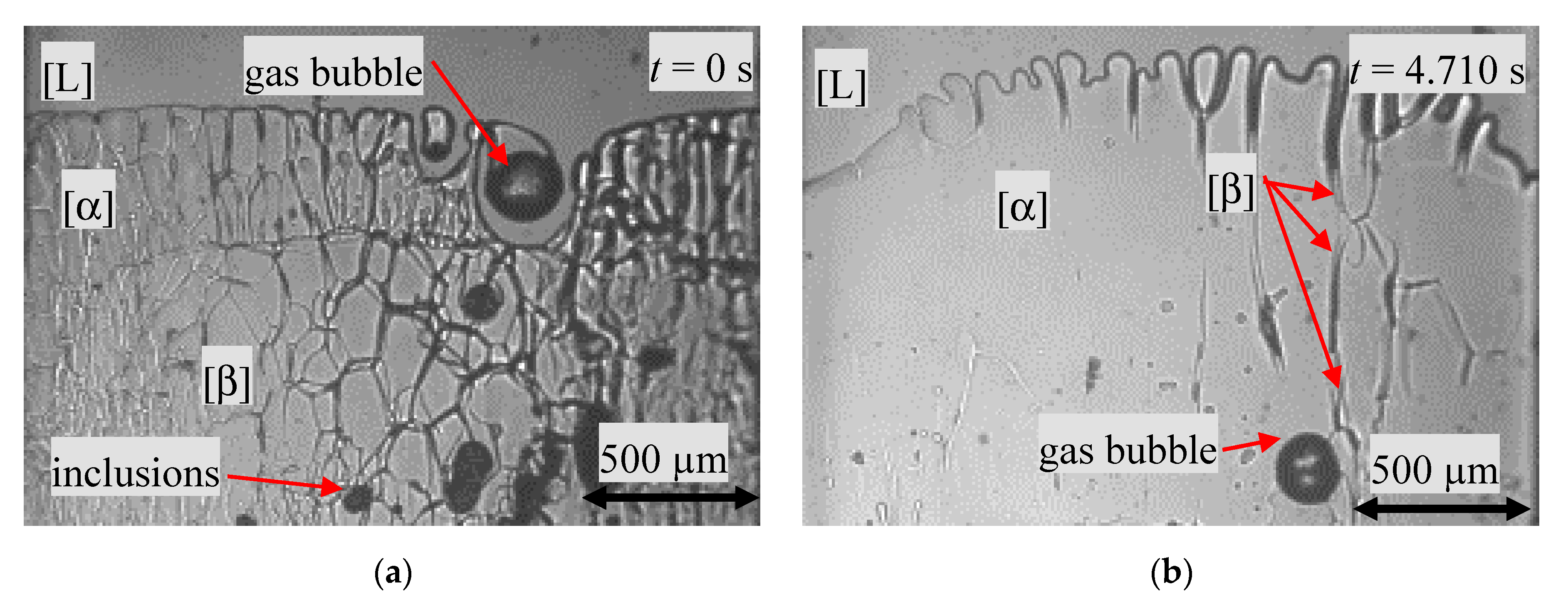 Materials 13 00966 g007