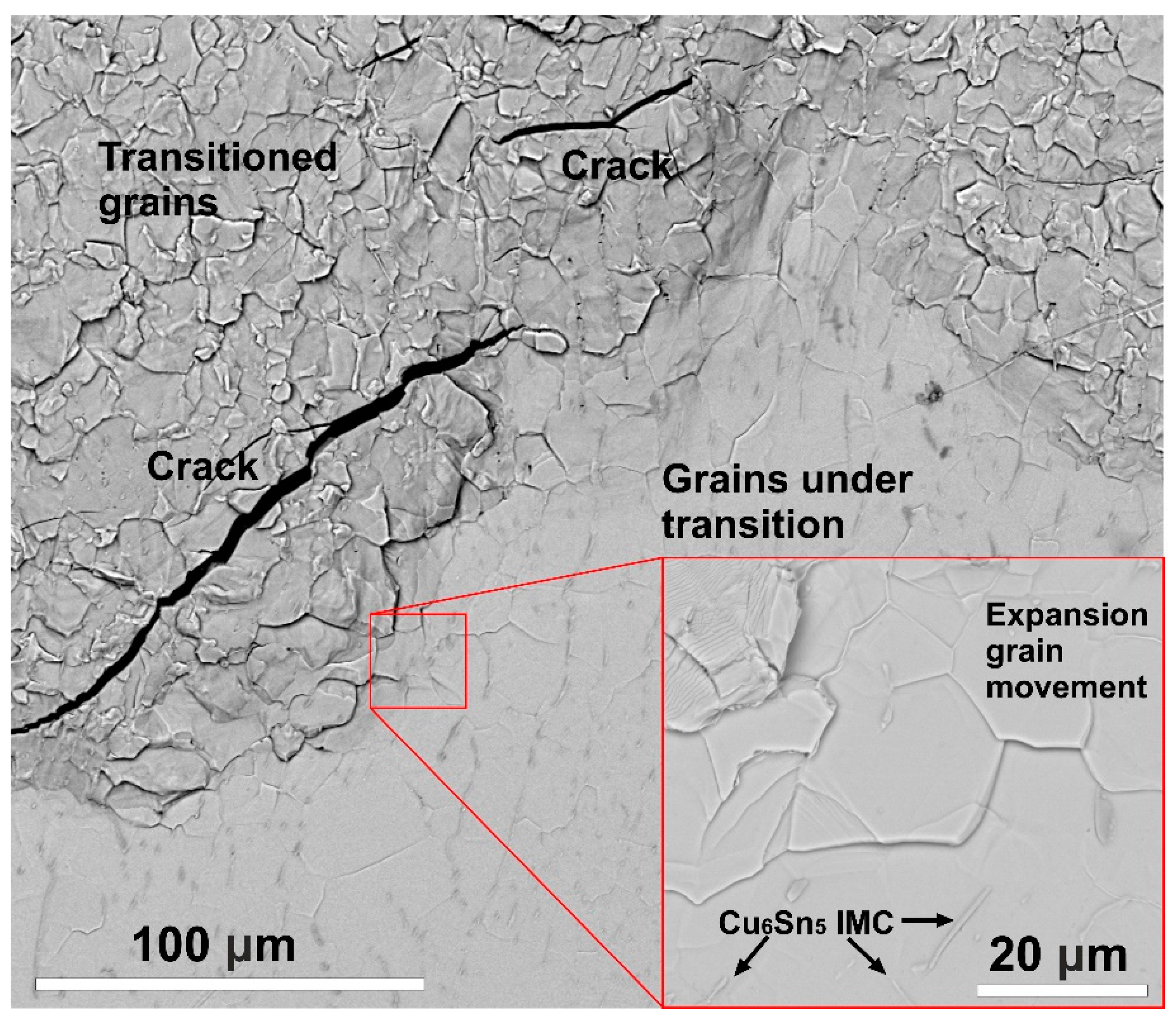 Materials 13 00968 g007