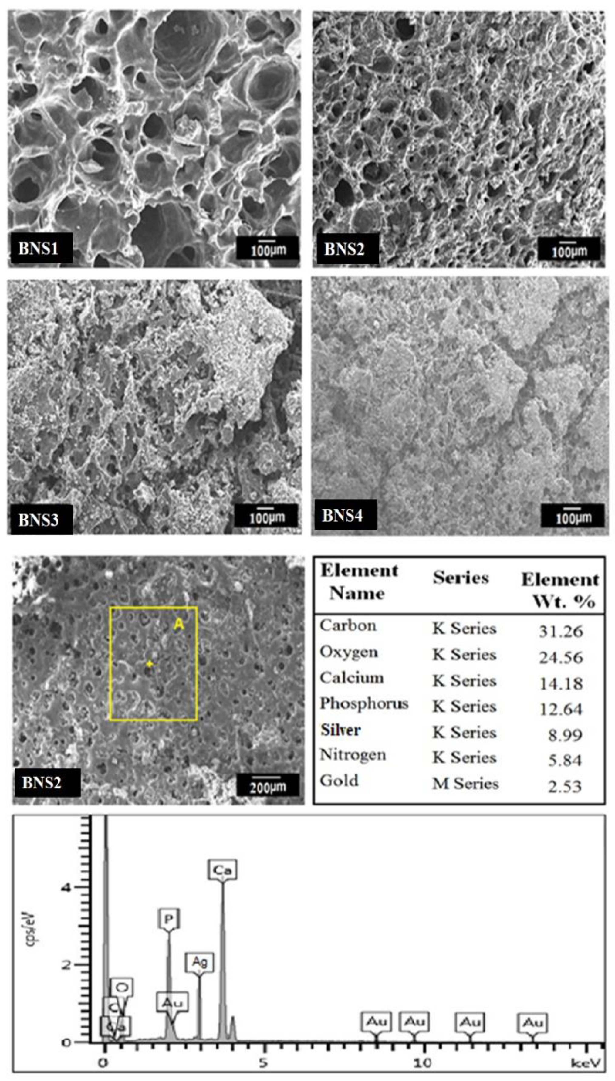 Materials 13 00971 g004 Materials 13 00971 g004