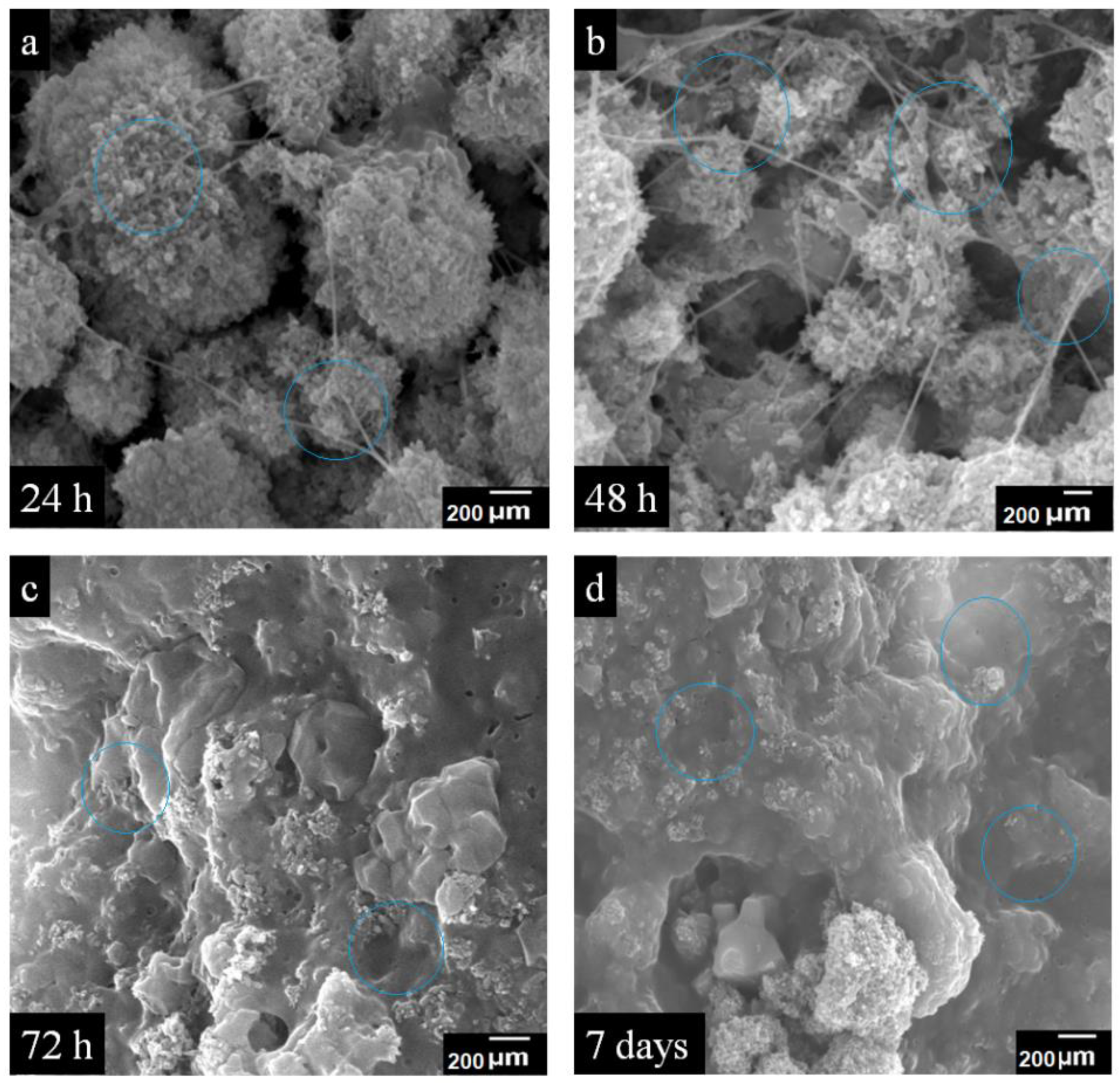 Materials 13 00971 g010 Materials 13 00971 g010