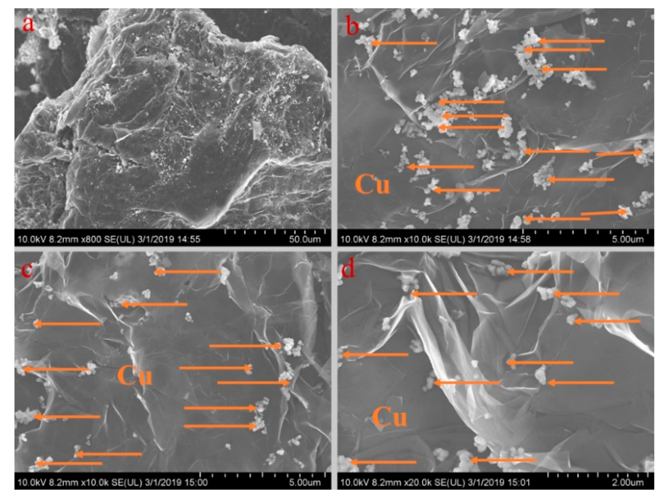 Materials 13 00980 g006