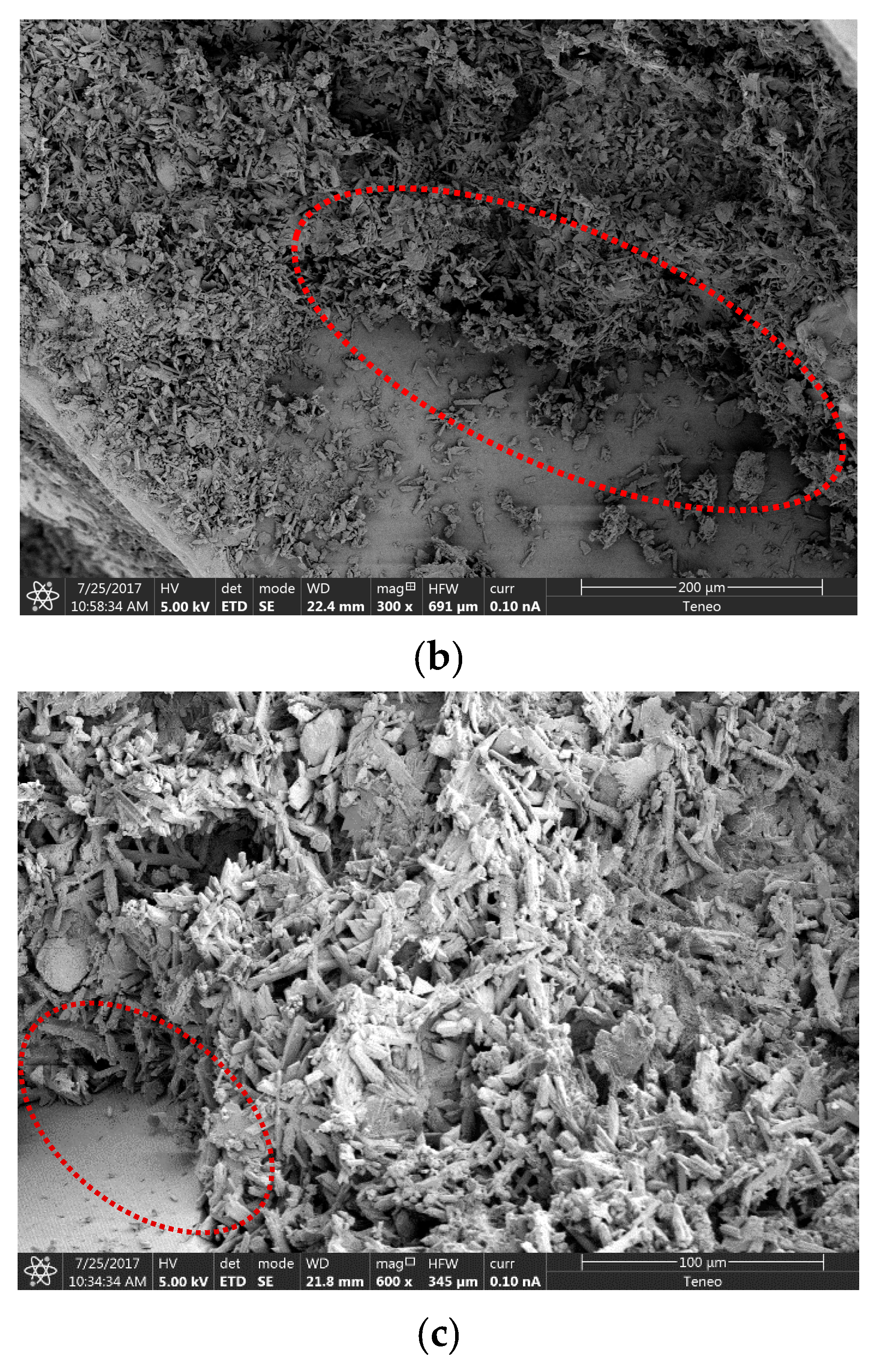 Materials 13 00989 g007b Materials 13 00989 g007b