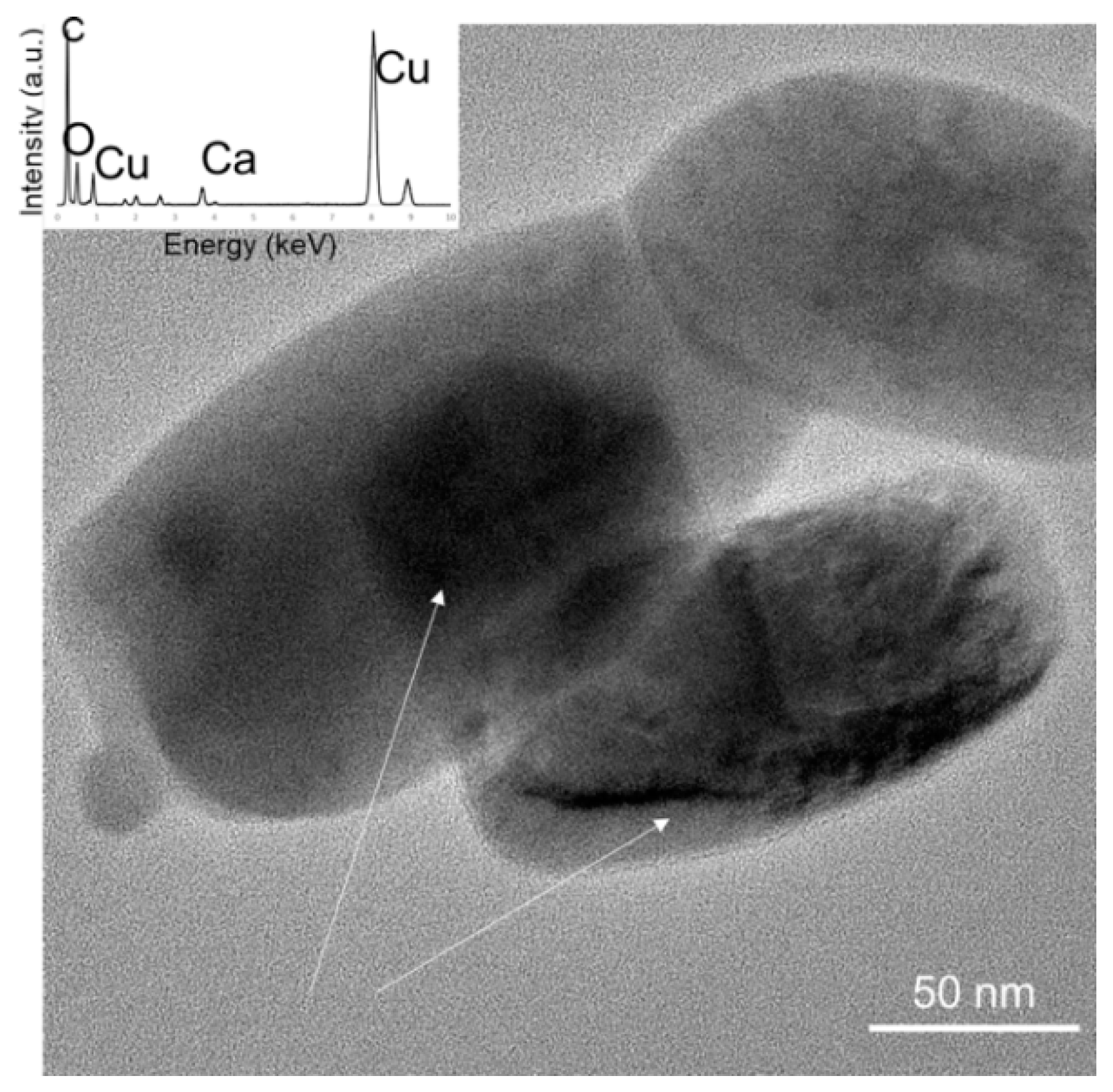 Materials 13 00992 g007