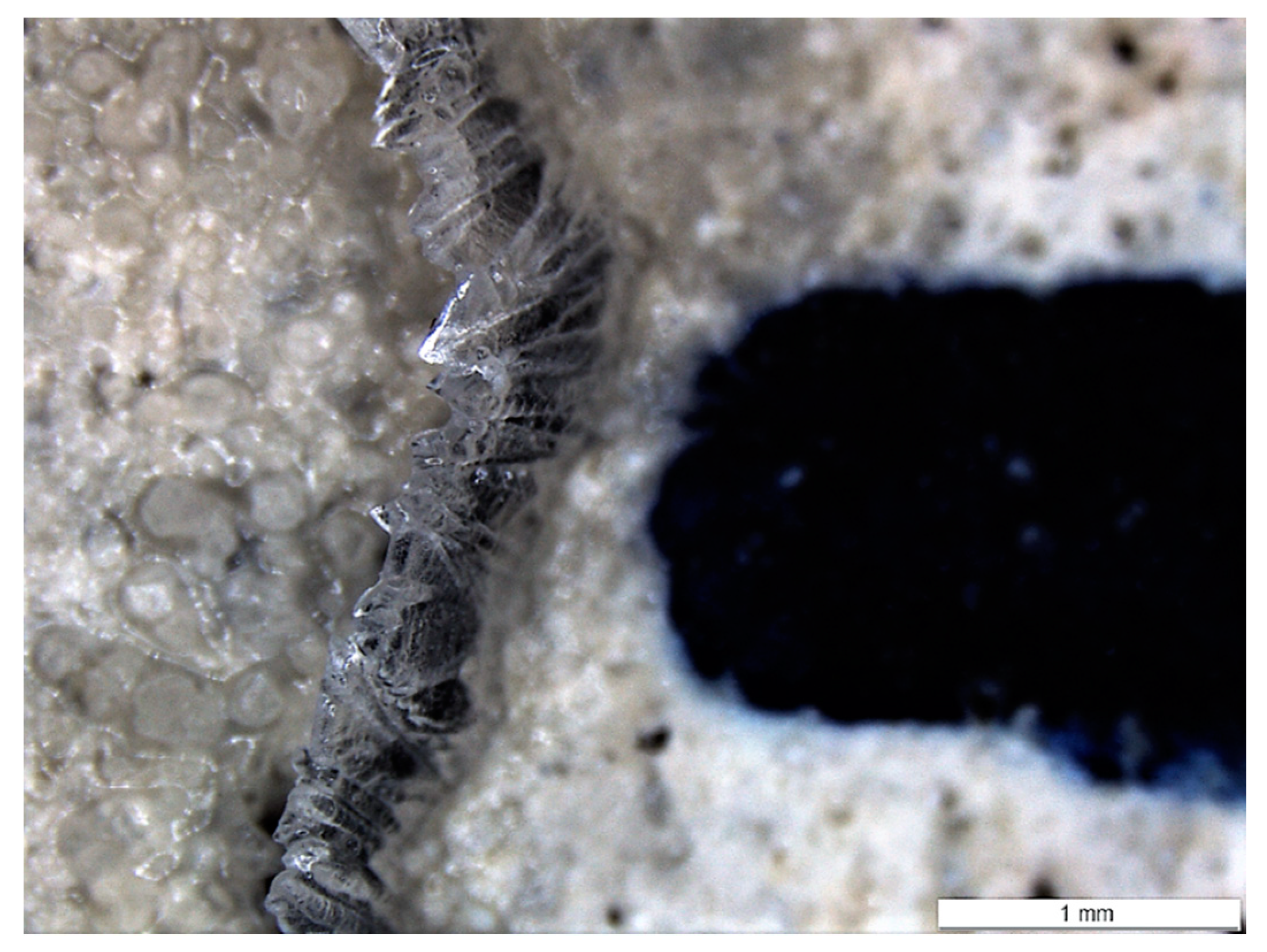 Materials 13 00997 g013