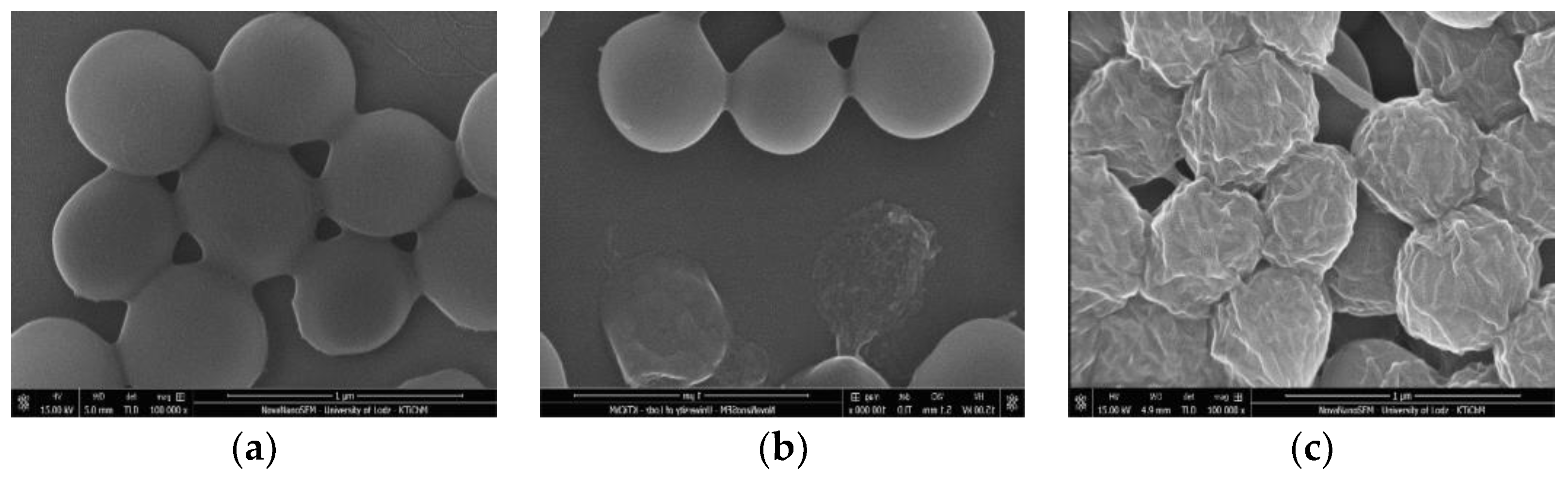 Materials 13 00998 g006 Materials 13 00998 g006