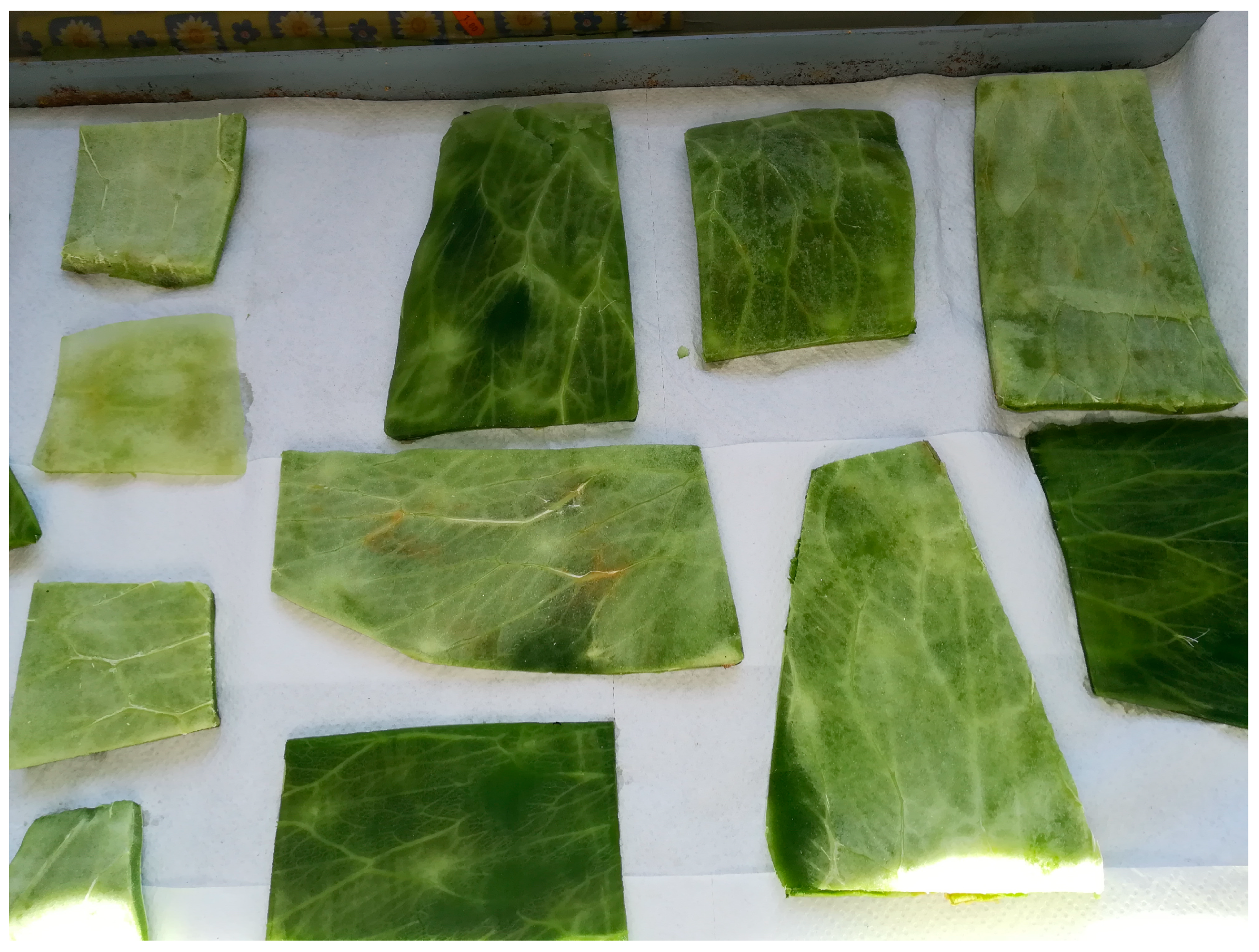 Materials 13 01000 g001 Materials 13 01000 g001