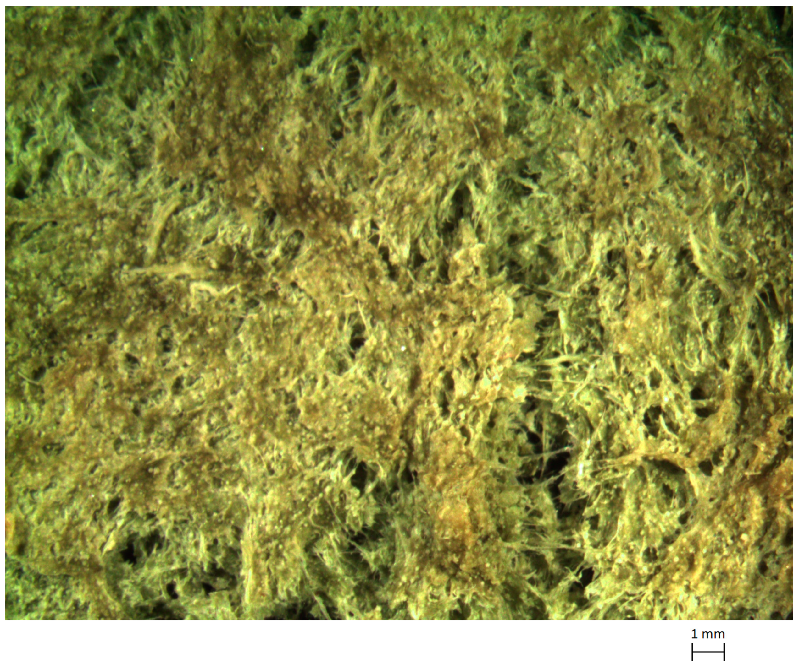 Materials 13 01000 g003 Materials 13 01000 g003