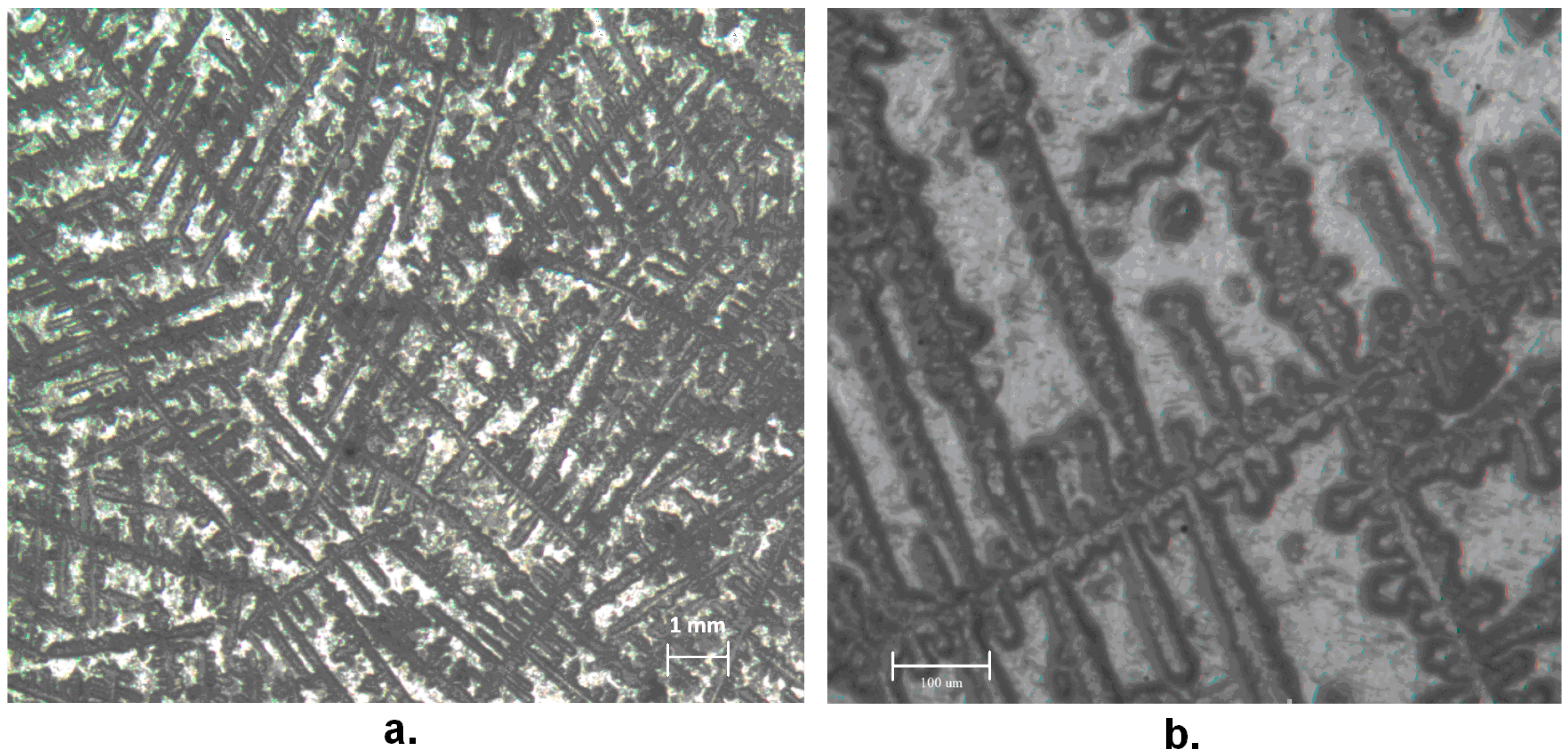 Materials 13 01000 g005 Materials 13 01000 g005