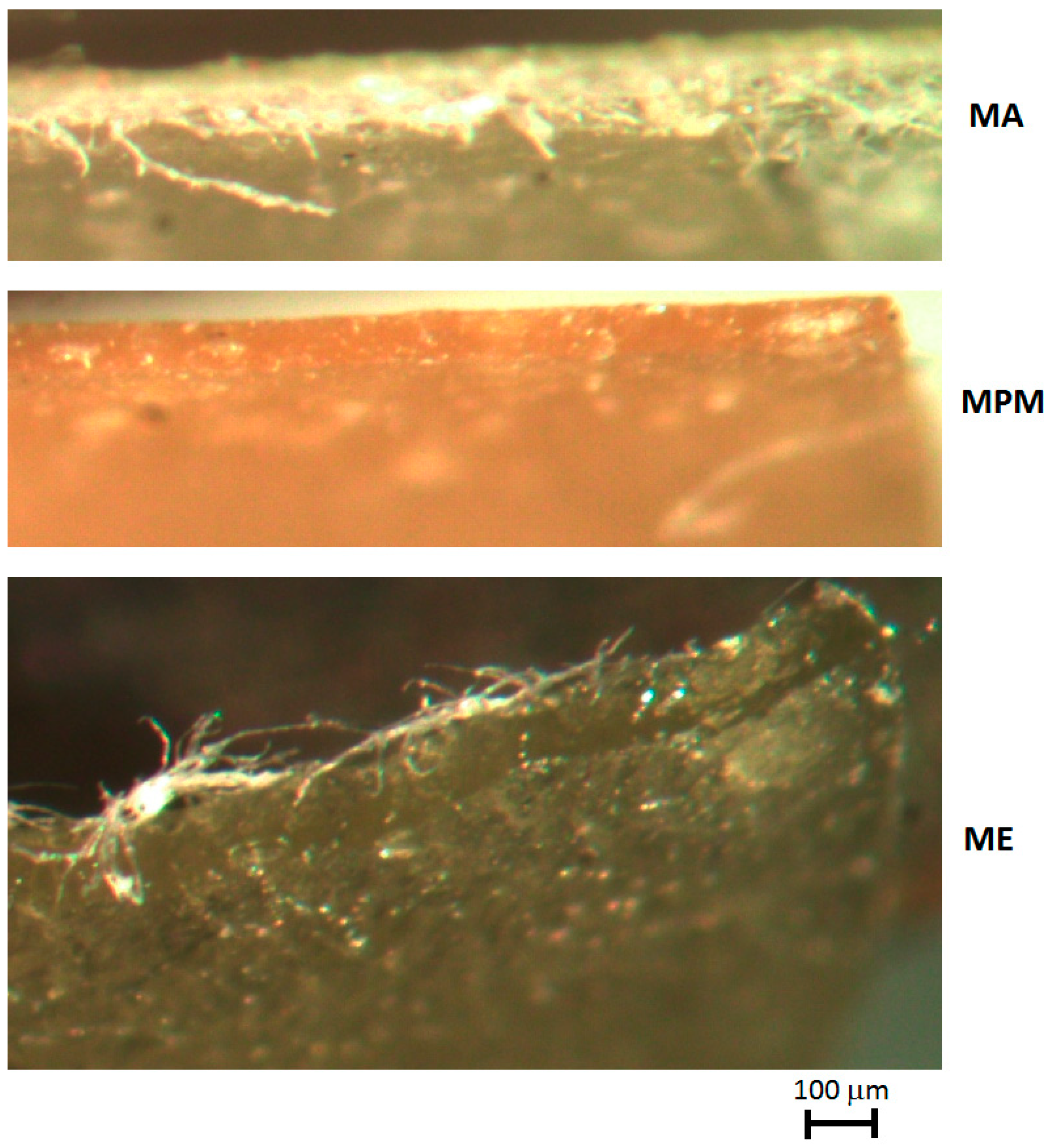 Materials 13 01000 g009 Materials 13 01000 g009