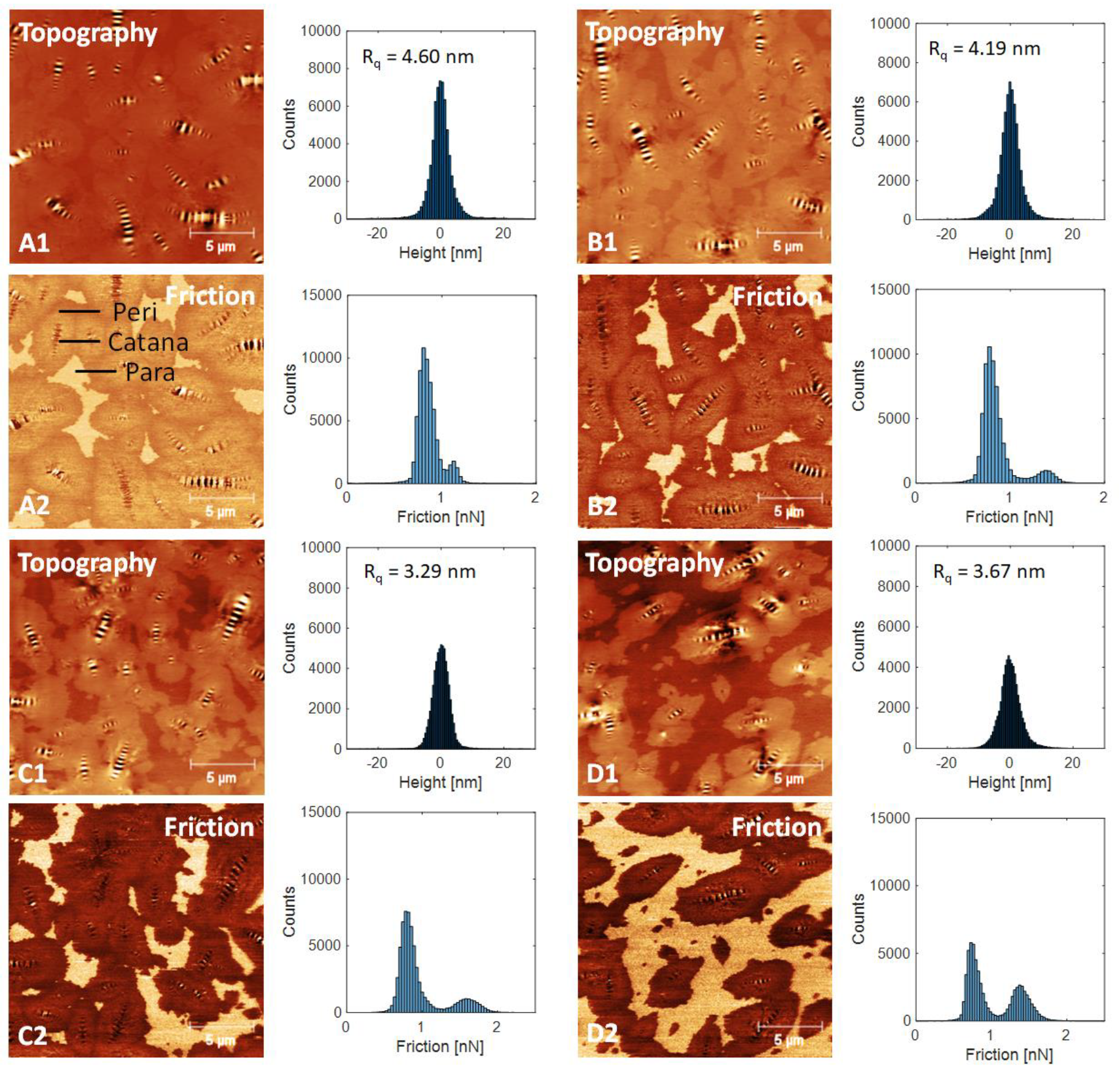 Materials 13 01002 g005