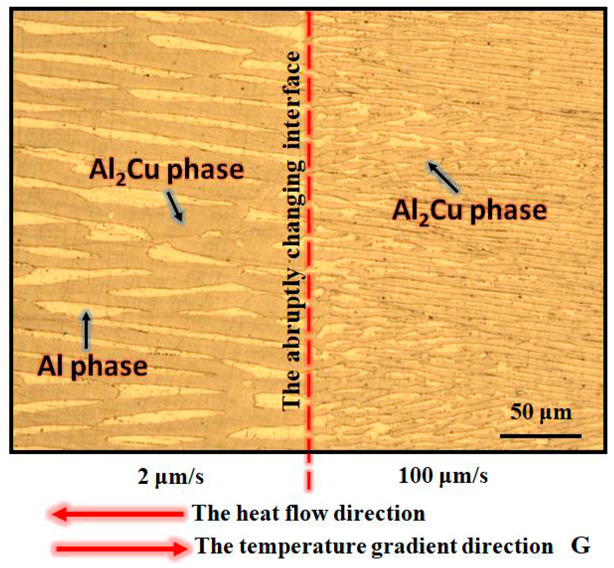 Materials 13 01004 g001 Materials 13 01004 g001
