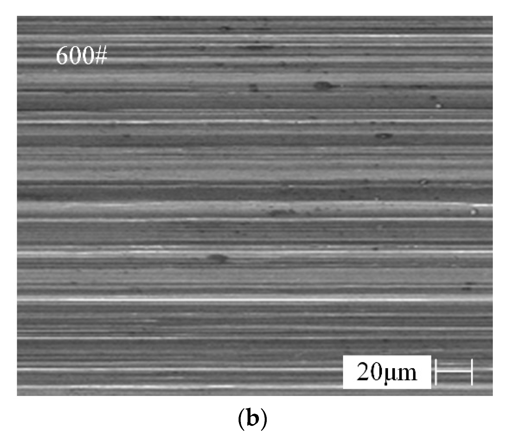 Materials 13 01005 g010b