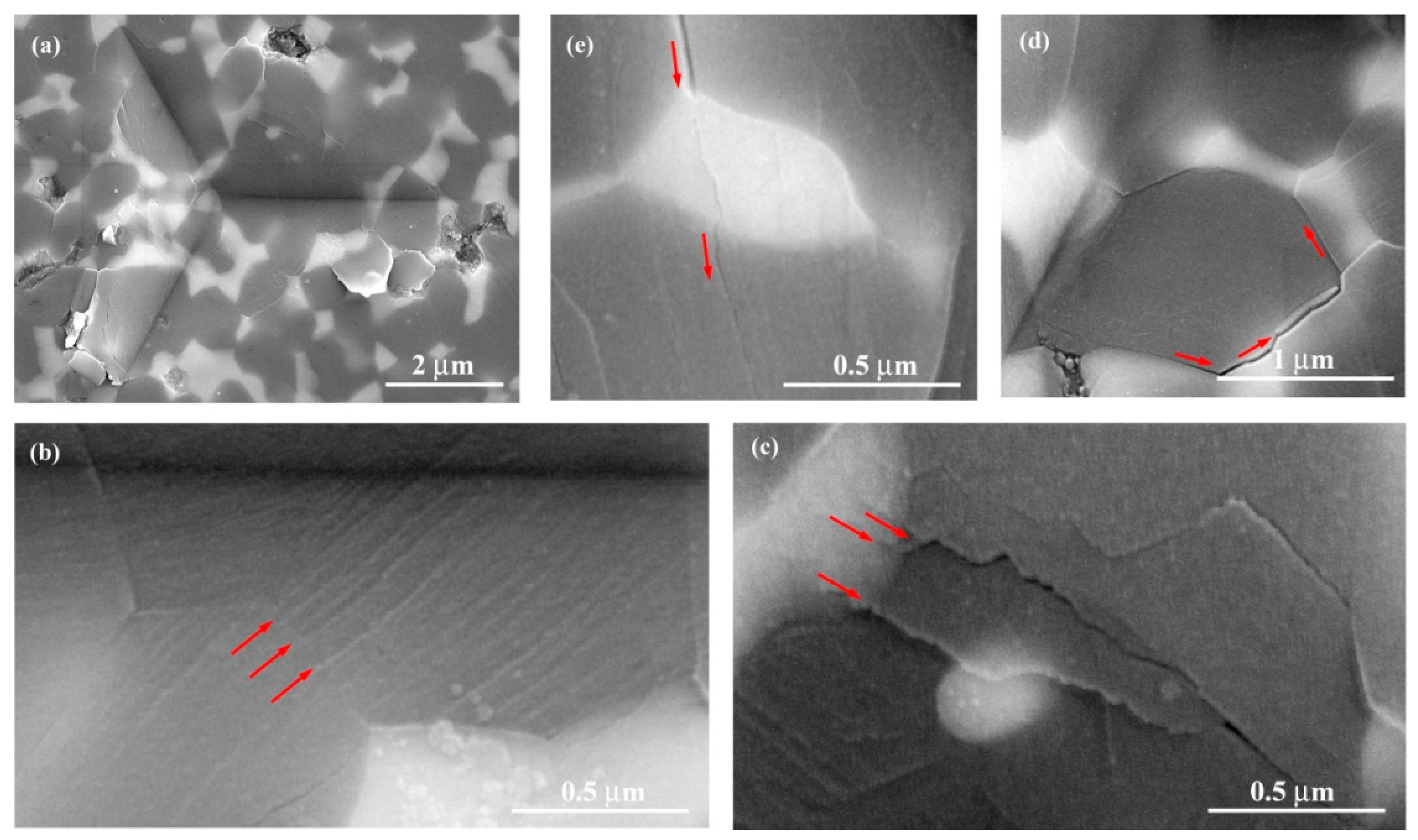 Materials 13 01006 g004 Materials 13 01006 g004