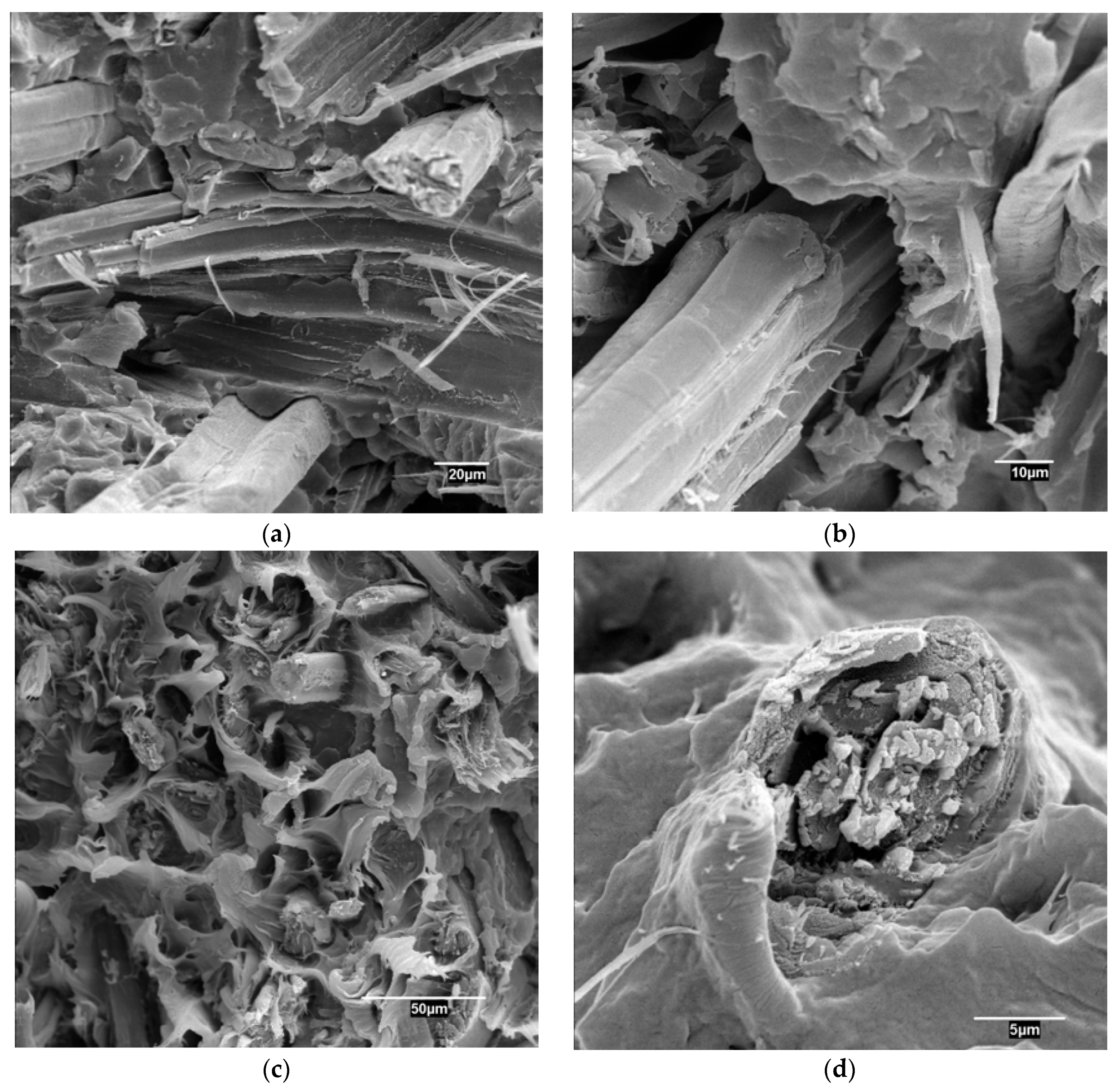 Materials 13 01012 g002 Materials 13 01012 g002