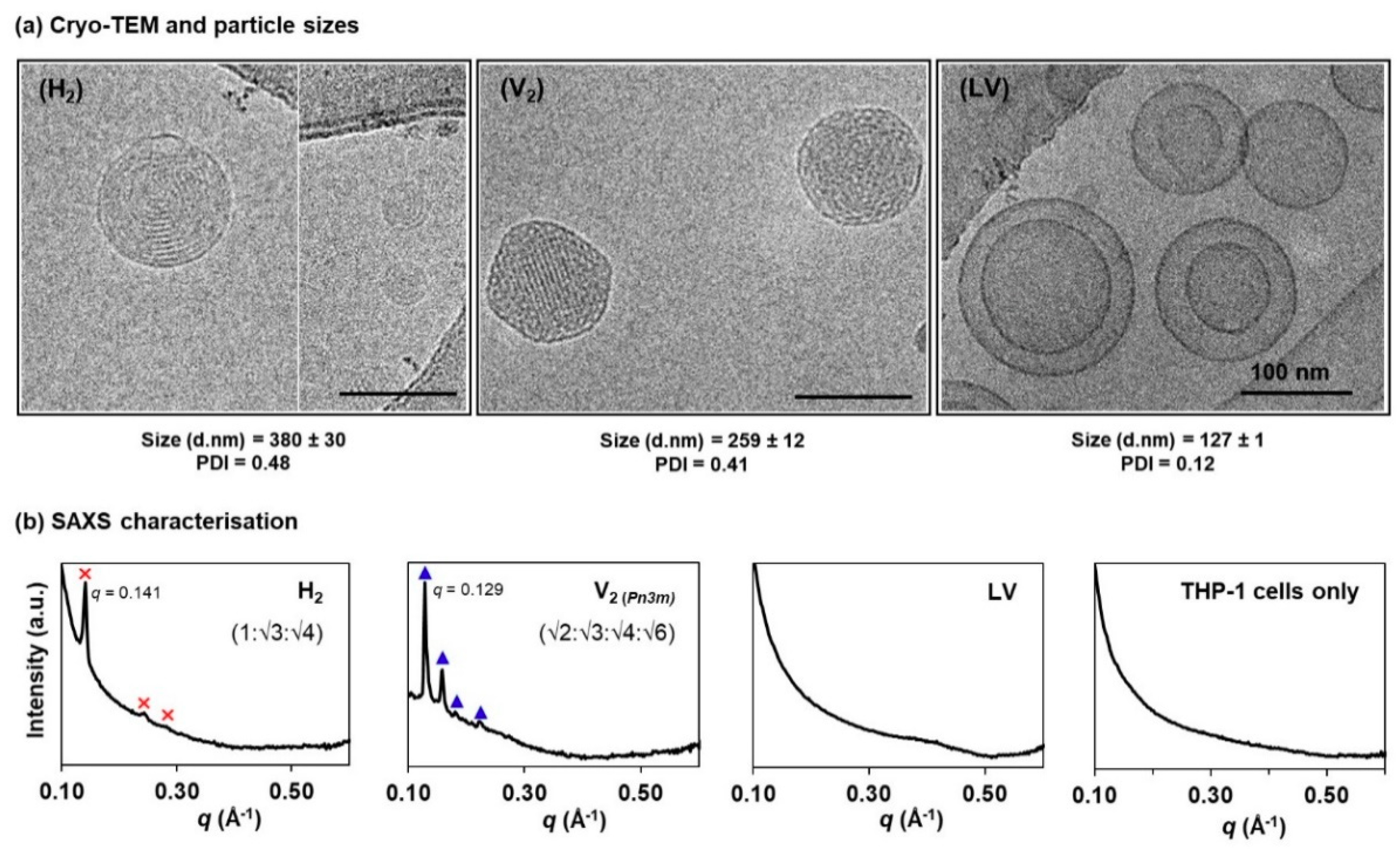 Materials 13 01013 g002