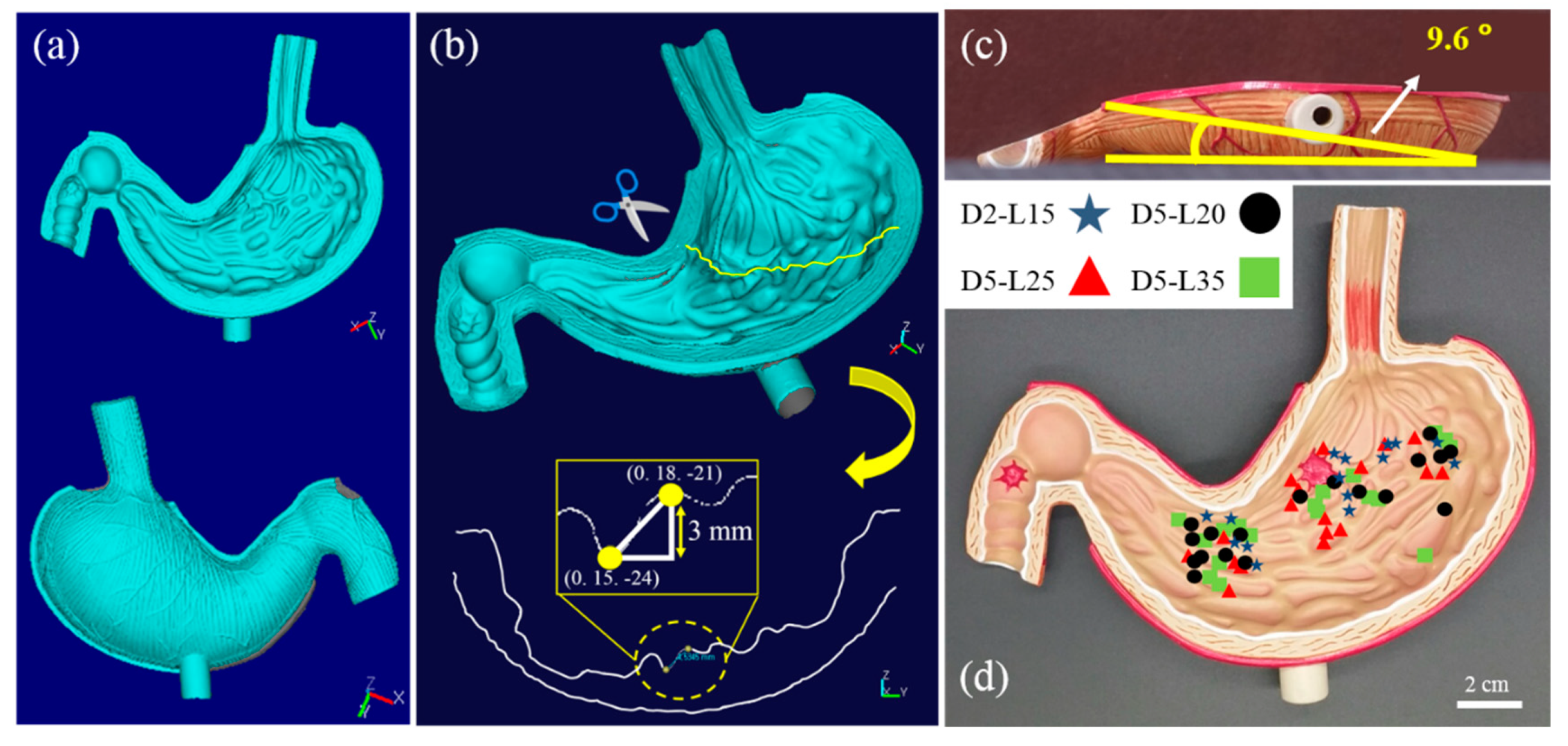 Materials 13 01014 g004