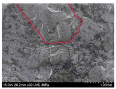 Materials 13 01024 i016