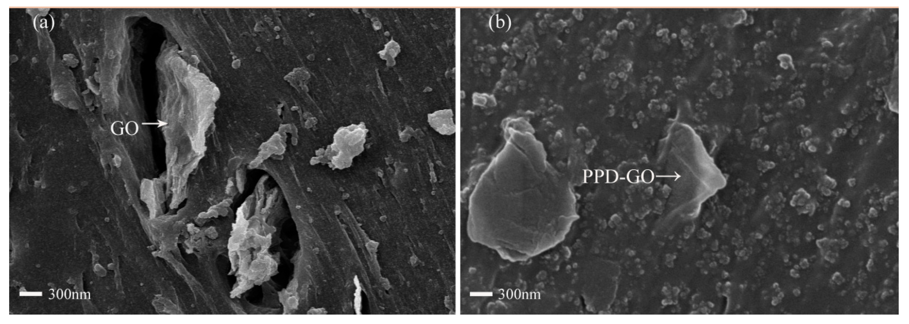 Materials 13 01025 g007 Materials 13 01025 g007