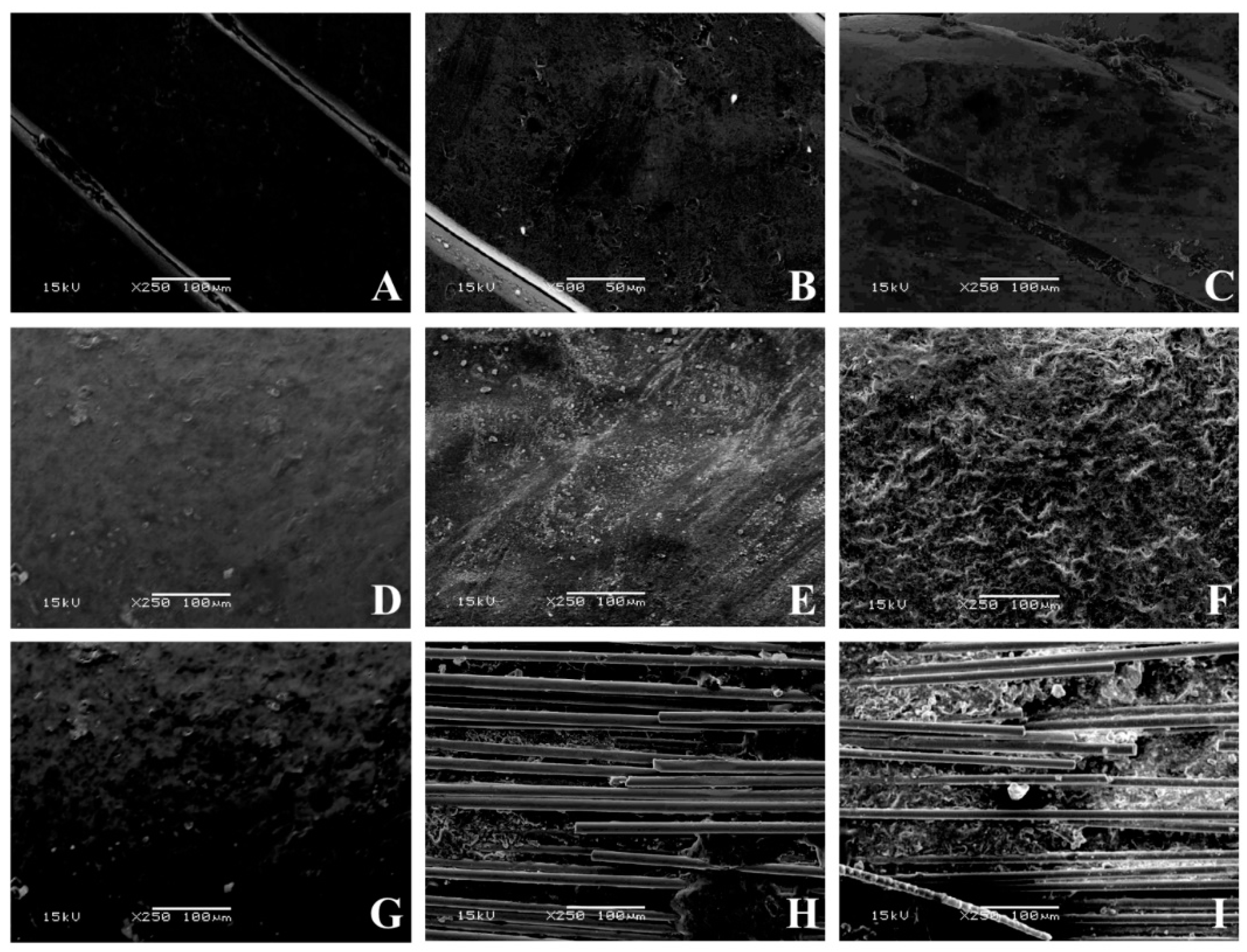 Materials 13 01028 g007 Materials 13 01028 g007