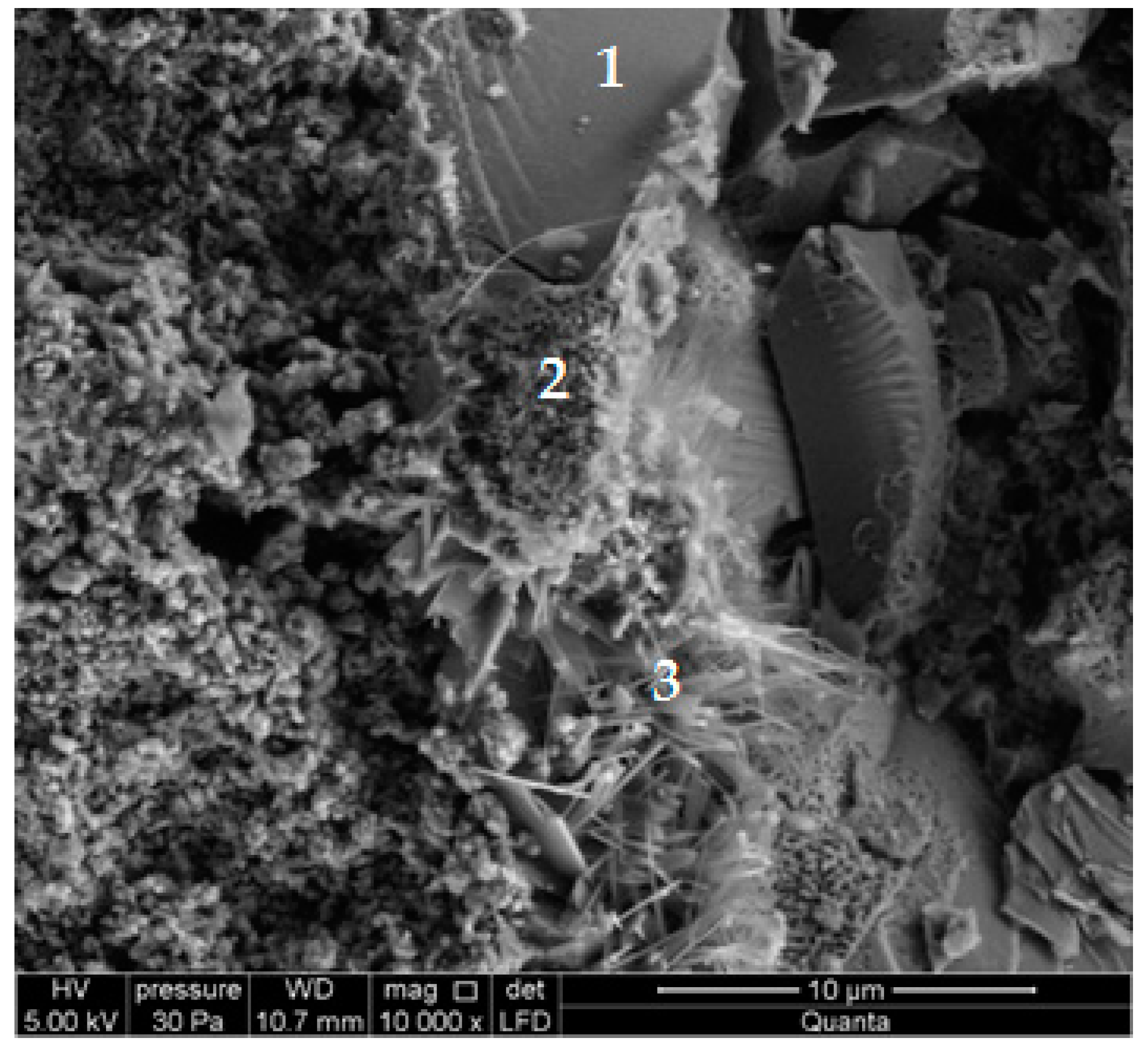 Materials 13 01030 g014 Materials 13 01030 g014