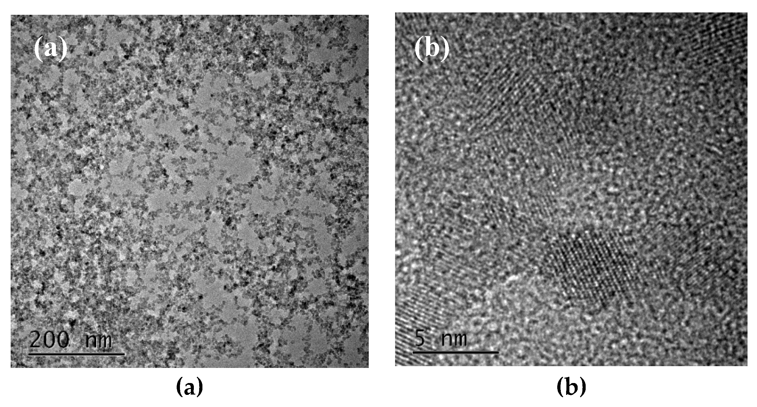 Materials 13 01031 g001