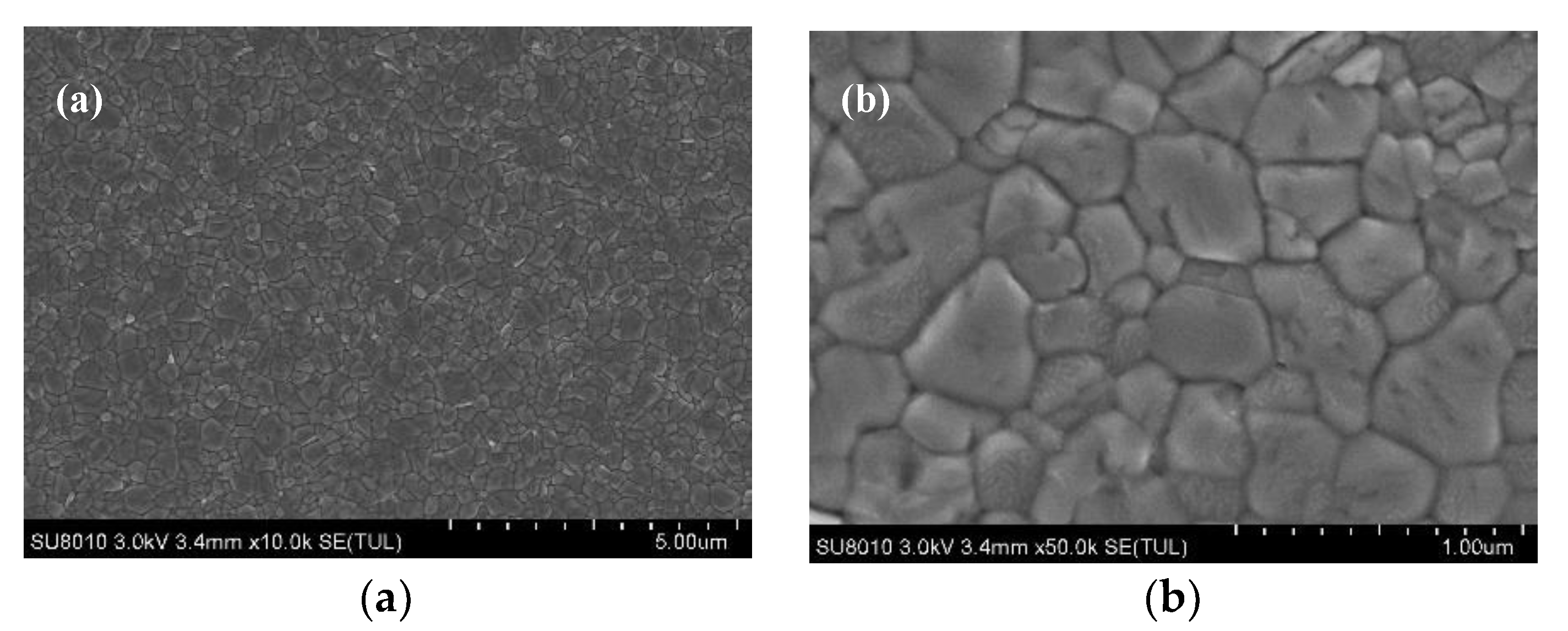 Materials 13 01031 g005a