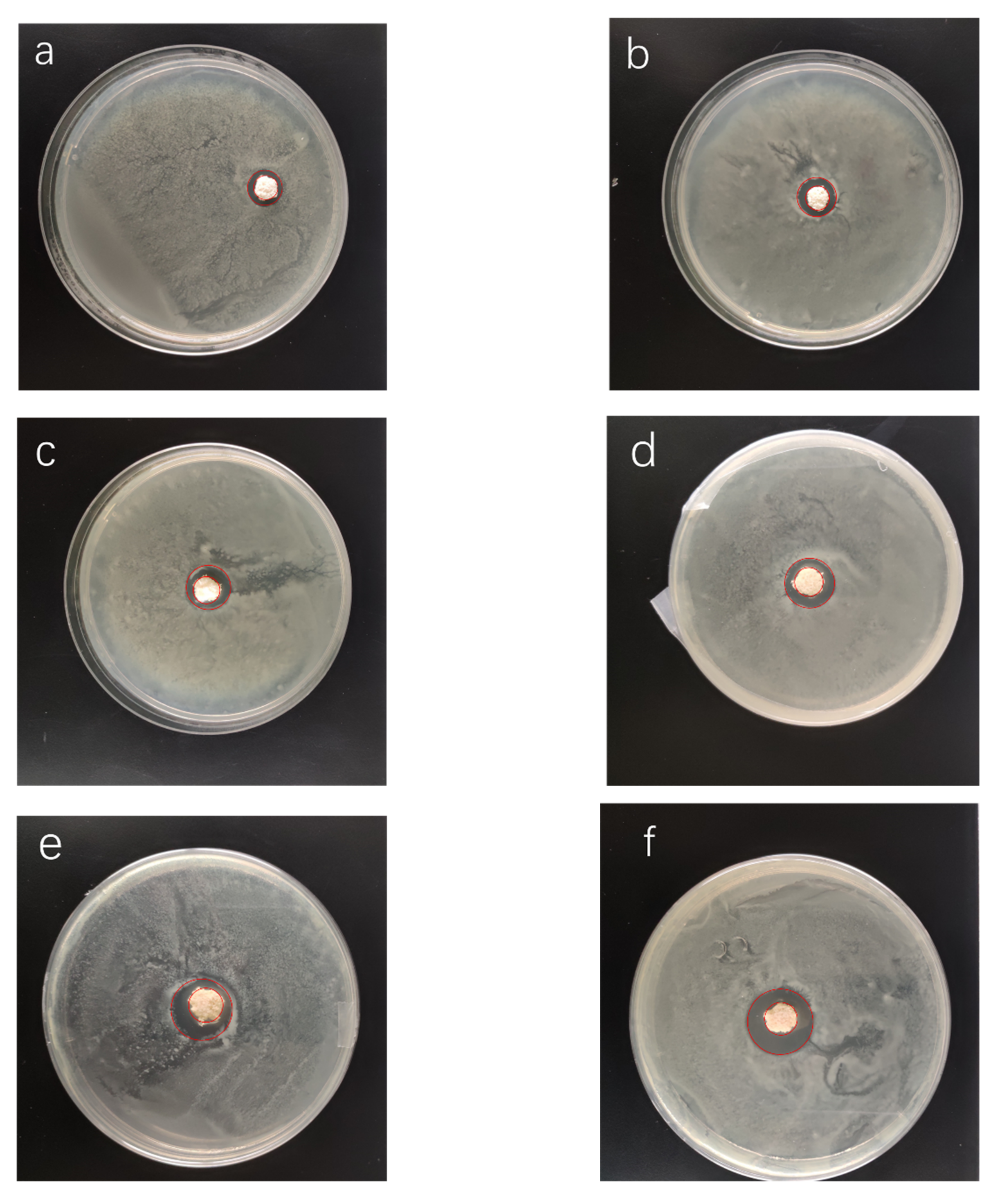 Materials 13 01039 g011 Materials 13 01039 g011