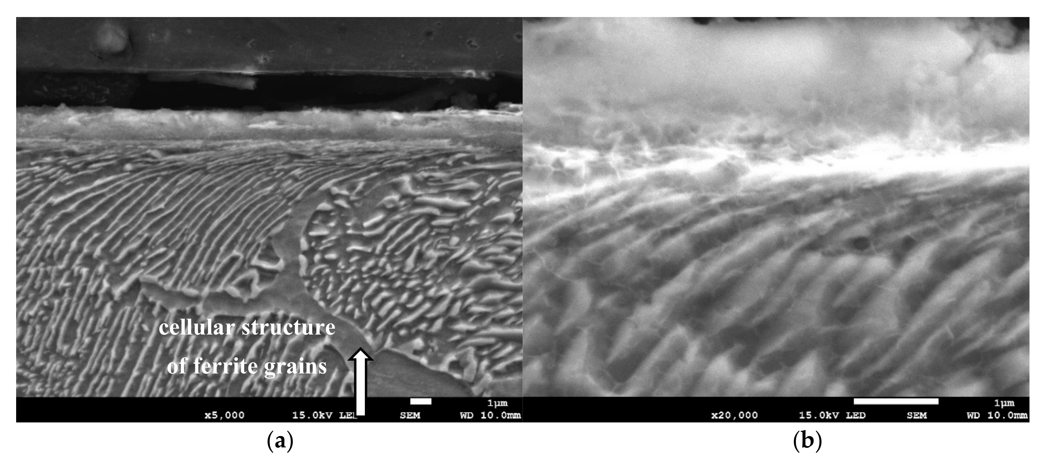 Materials 13 01040 g006 Materials 13 01040 g006