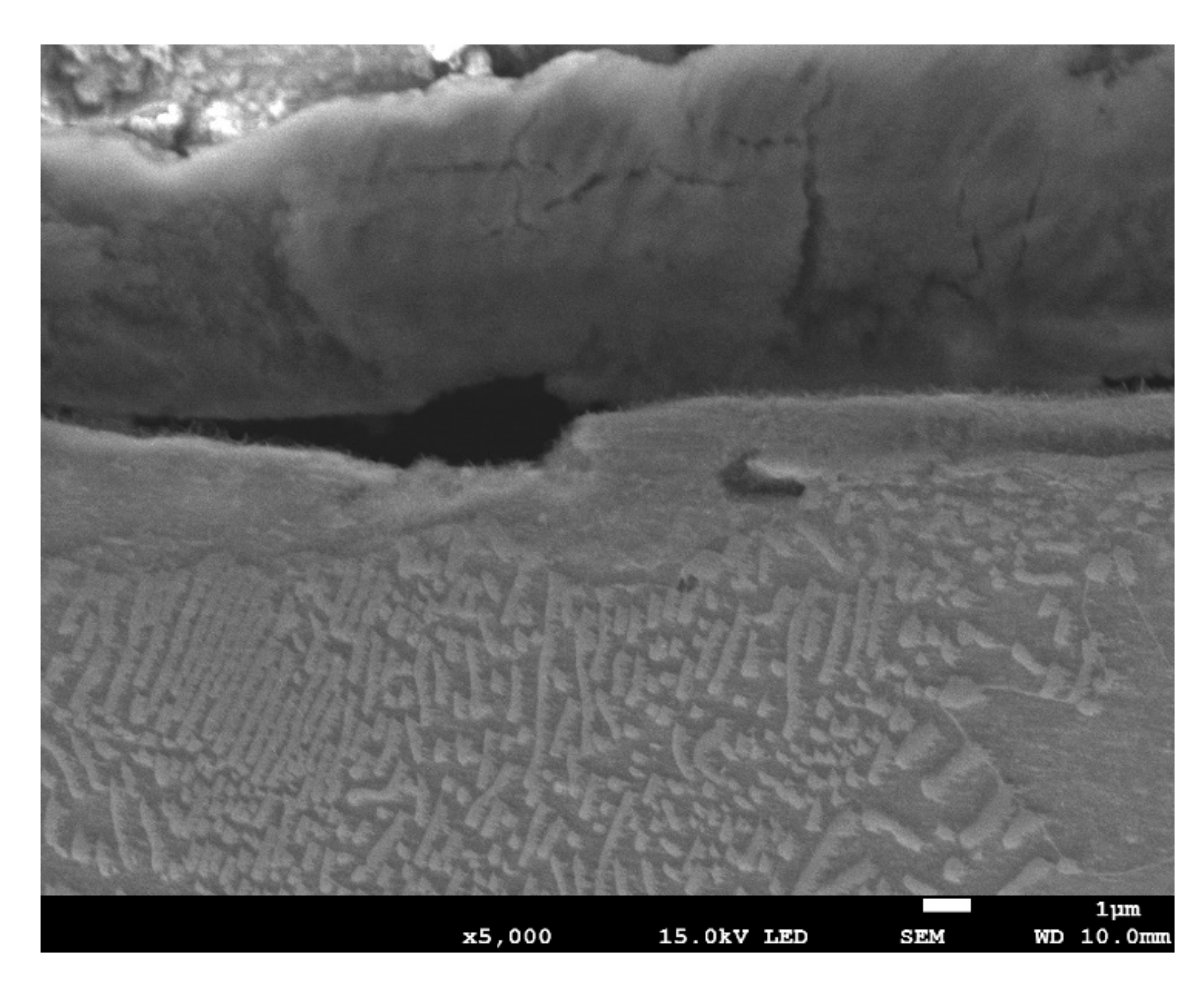 Materials 13 01040 g012 Materials 13 01040 g012