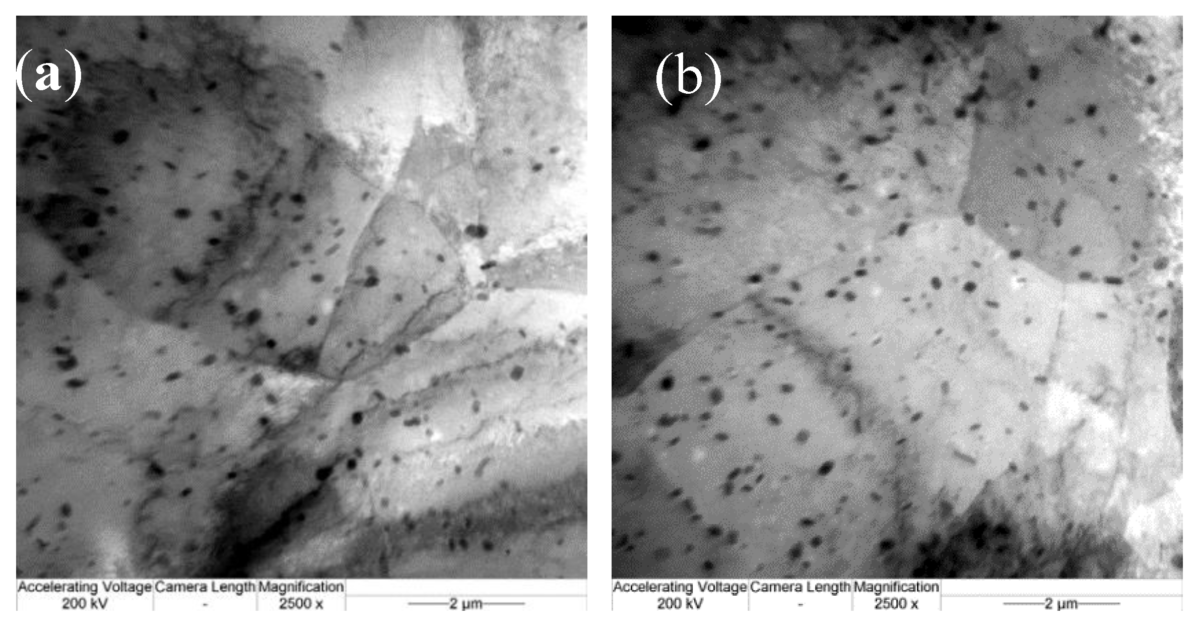 Materials 13 01042 g009a