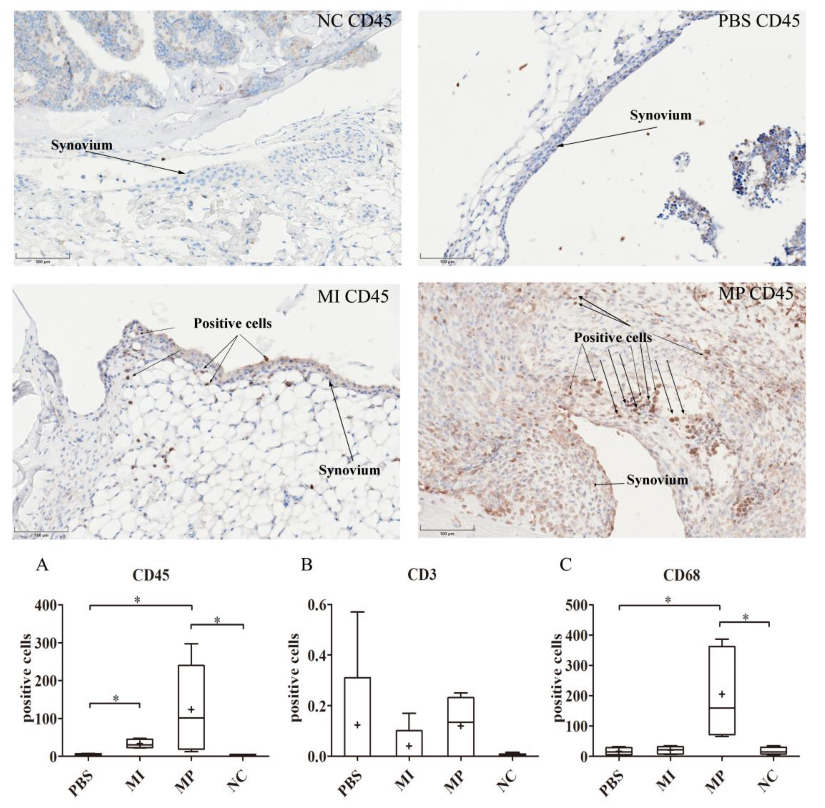 Materials 13 01044 g002