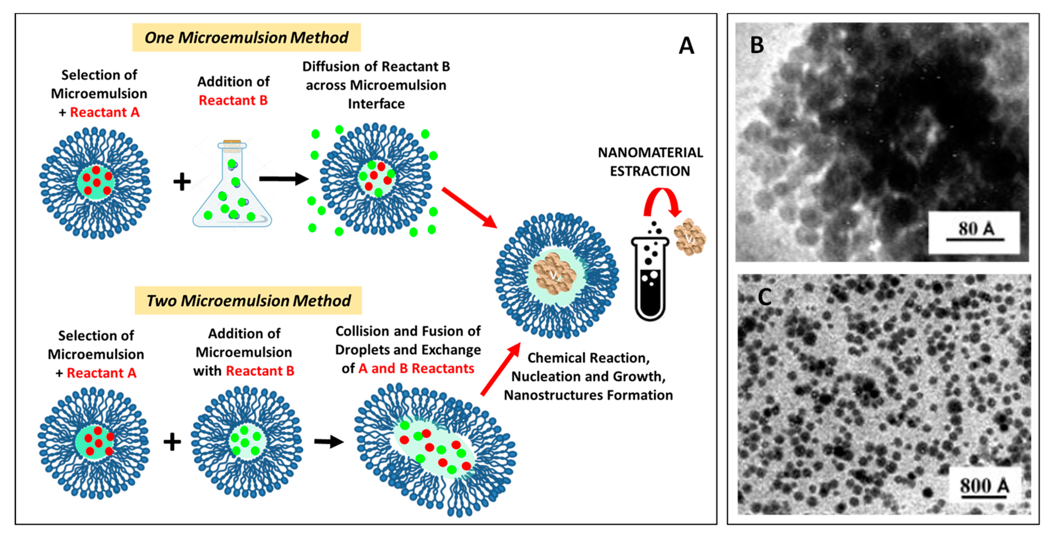 Materials 13 01048 g007 Materials 13 01048 g007