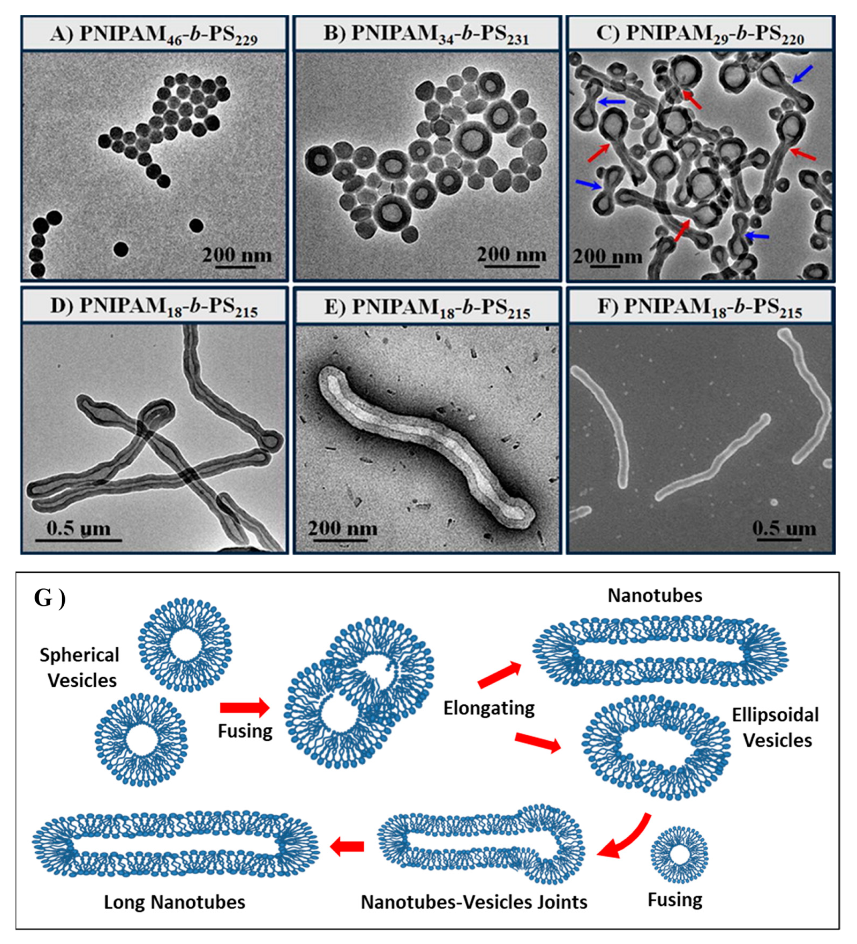 Materials 13 01048 g010 Materials 13 01048 g010
