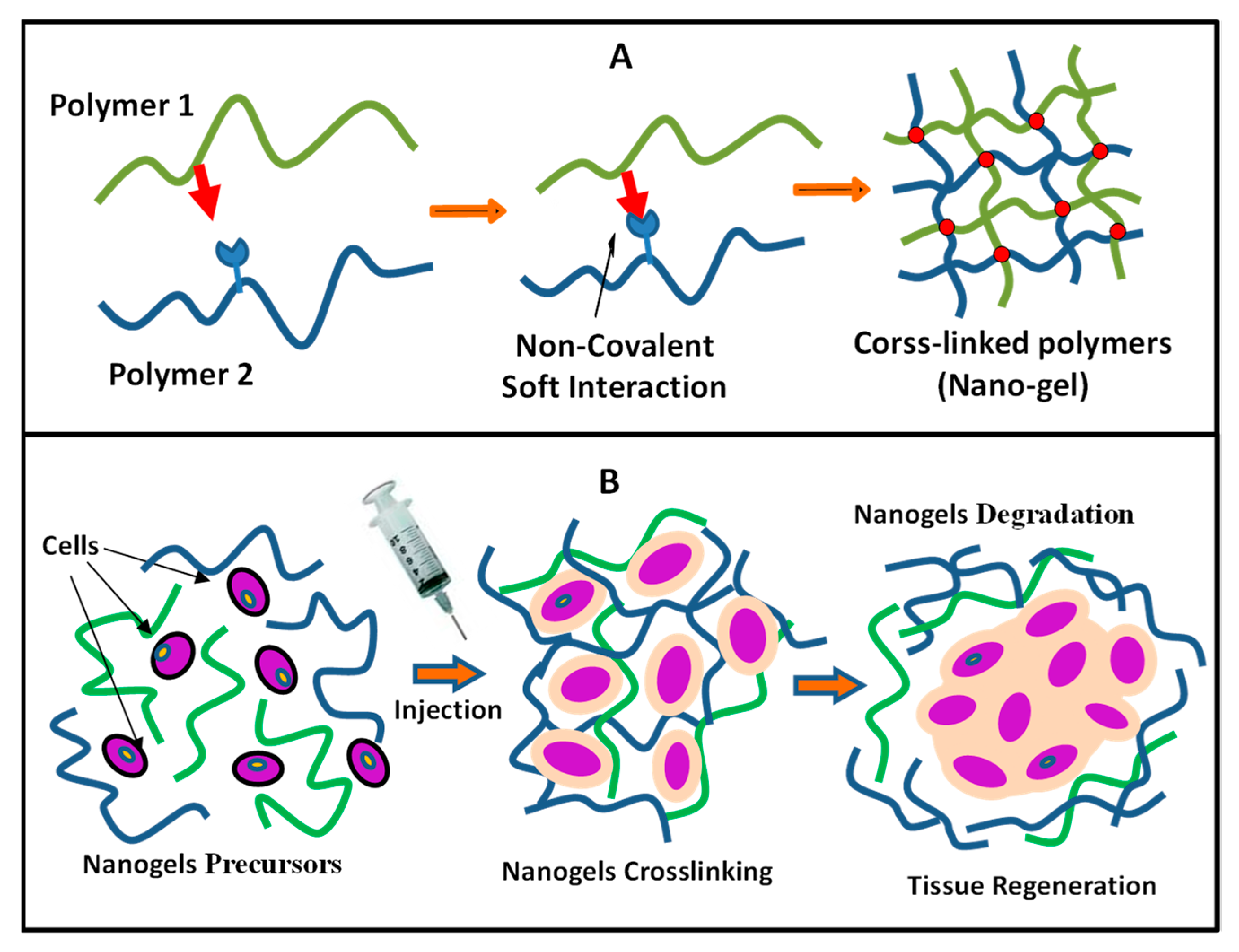 Materials 13 01048 g011 Materials 13 01048 g011