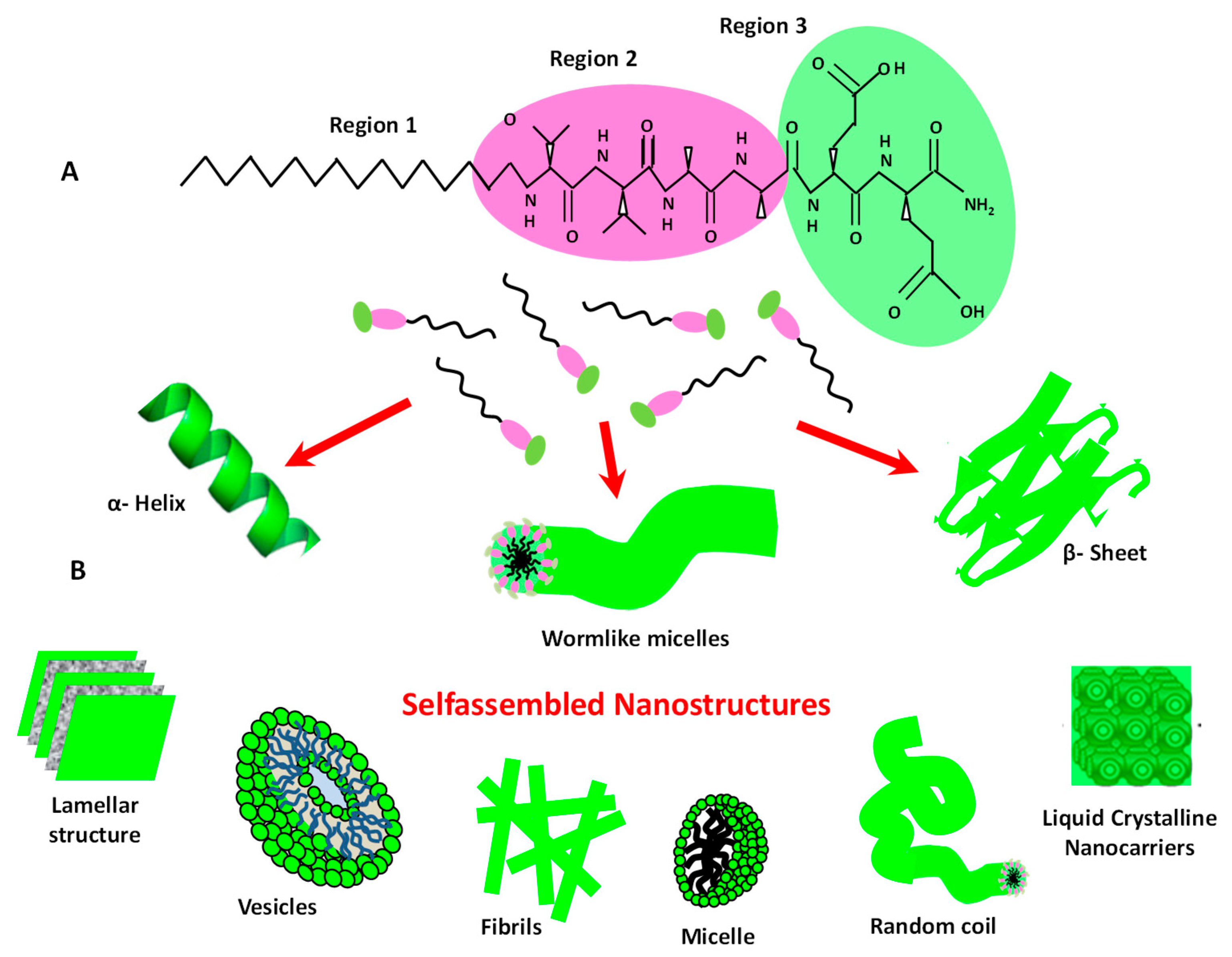 Materials 13 01048 g013 Materials 13 01048 g013