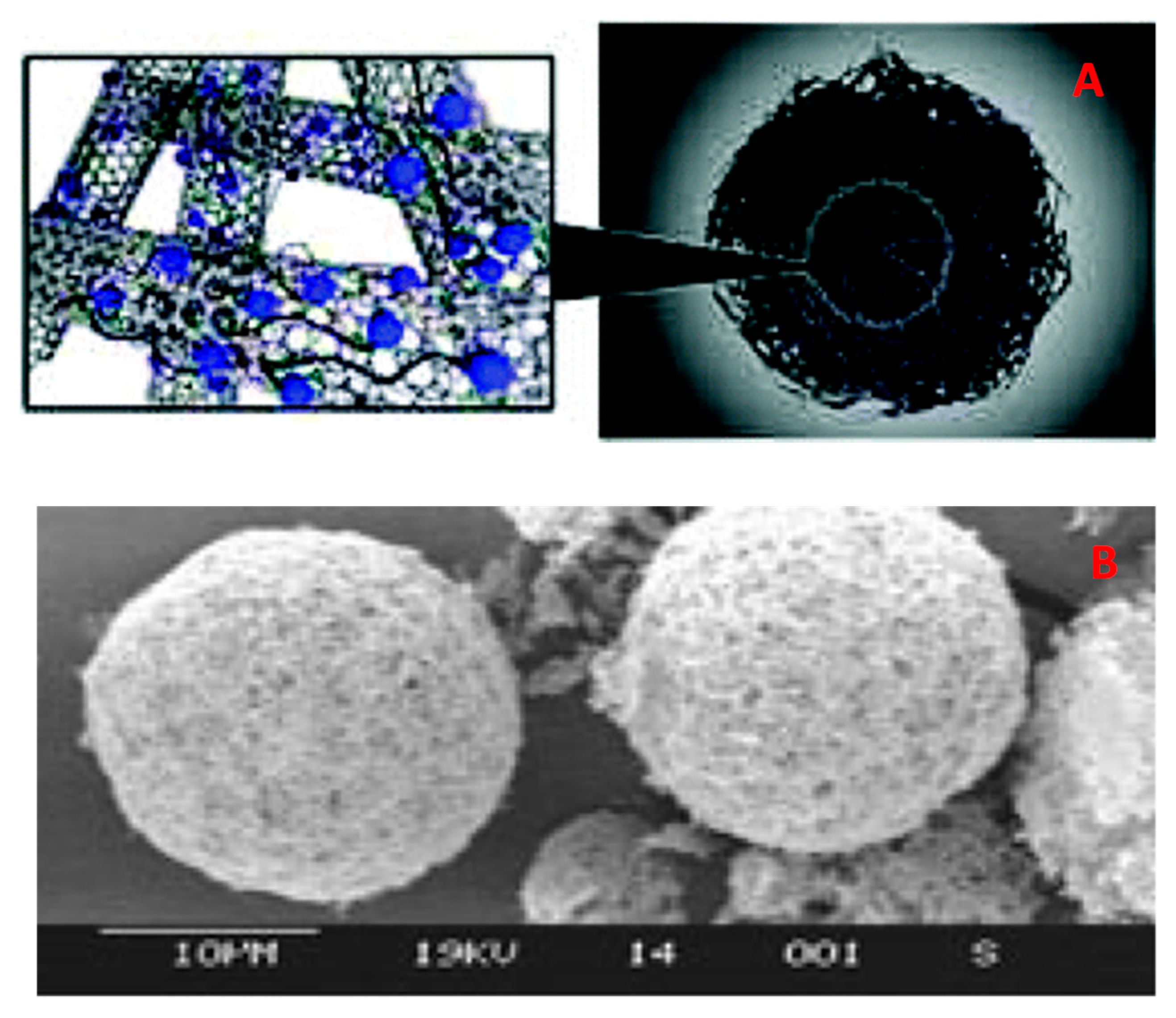 Materials 13 01048 g018 Materials 13 01048 g018