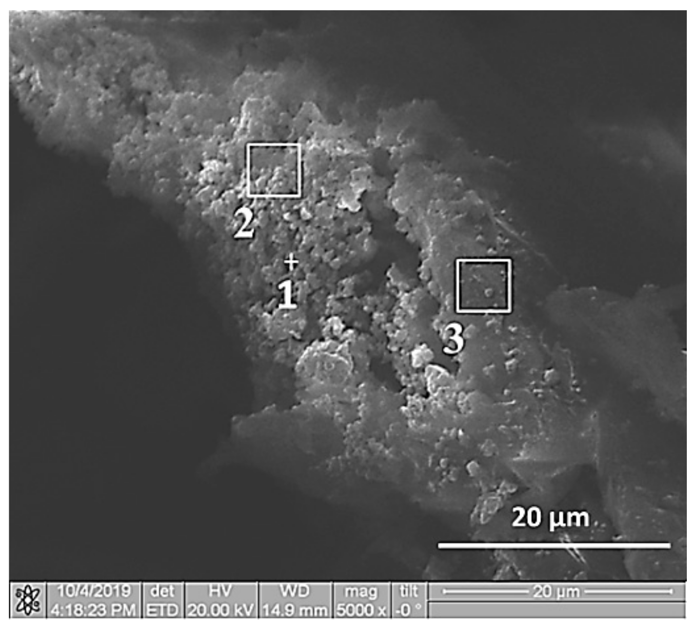 Materials 13 01050 g003 Materials 13 01050 g003