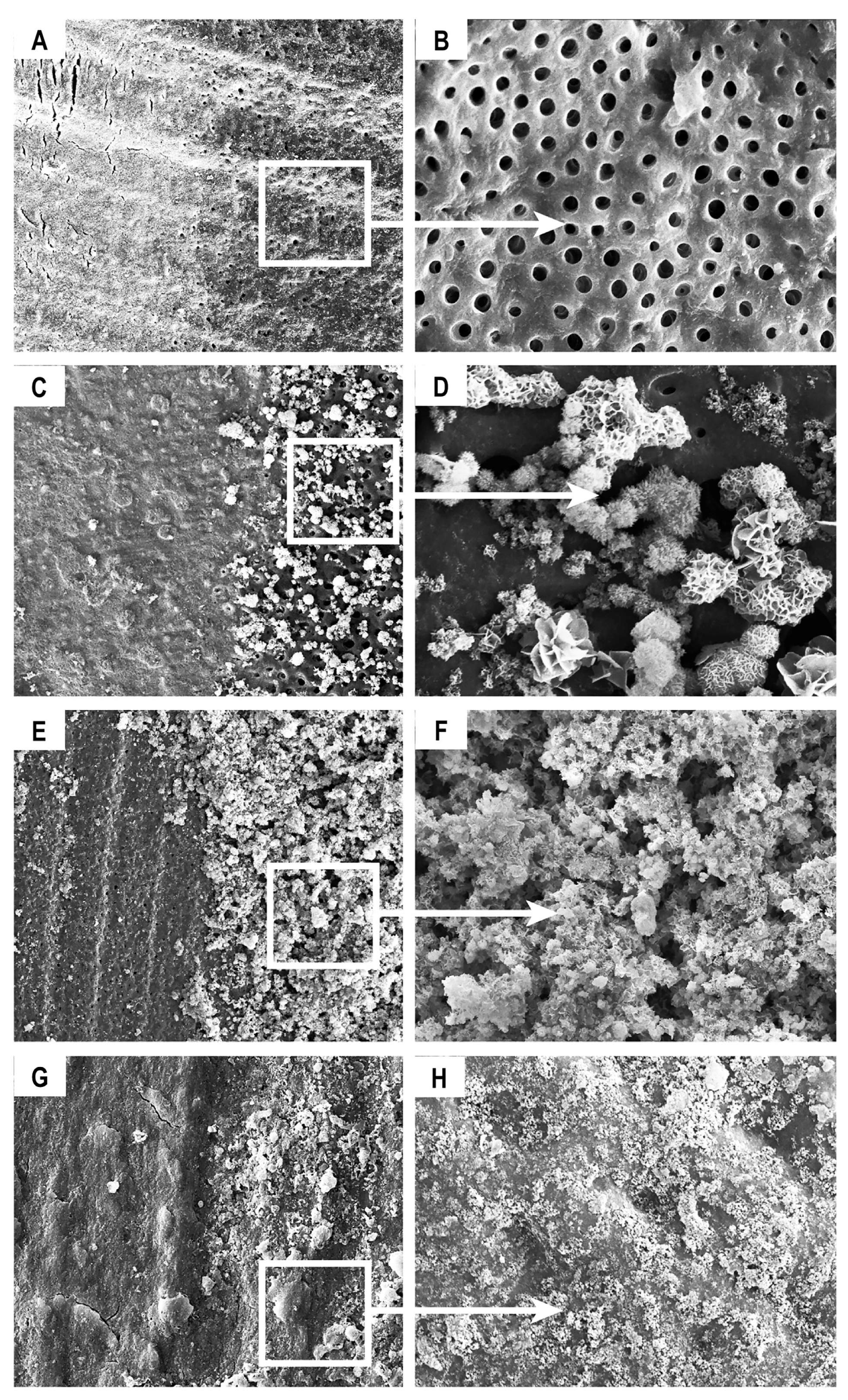 Materials 13 01053 g003 Materials 13 01053 g003