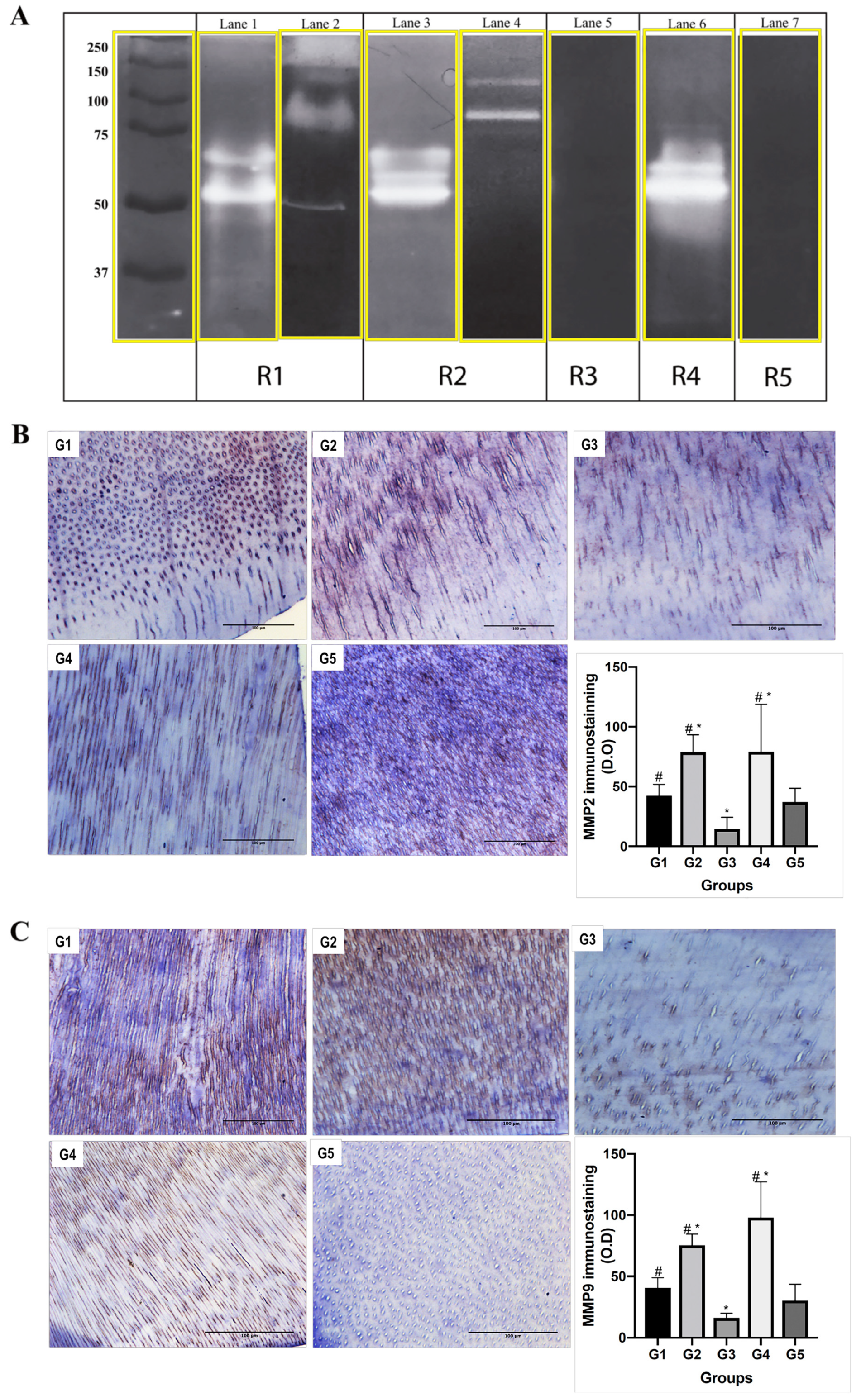 Materials 13 01053 g004 Materials 13 01053 g004