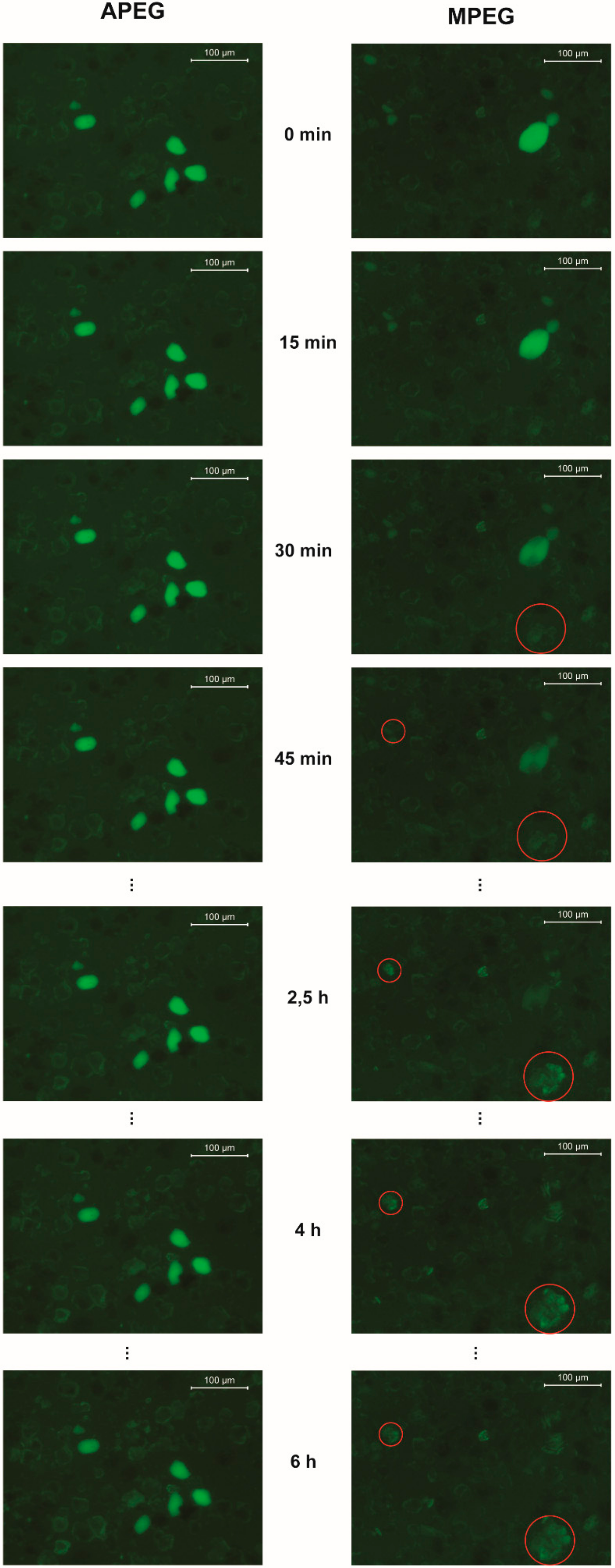 Materials 13 01057 g005 Materials 13 01057 g005