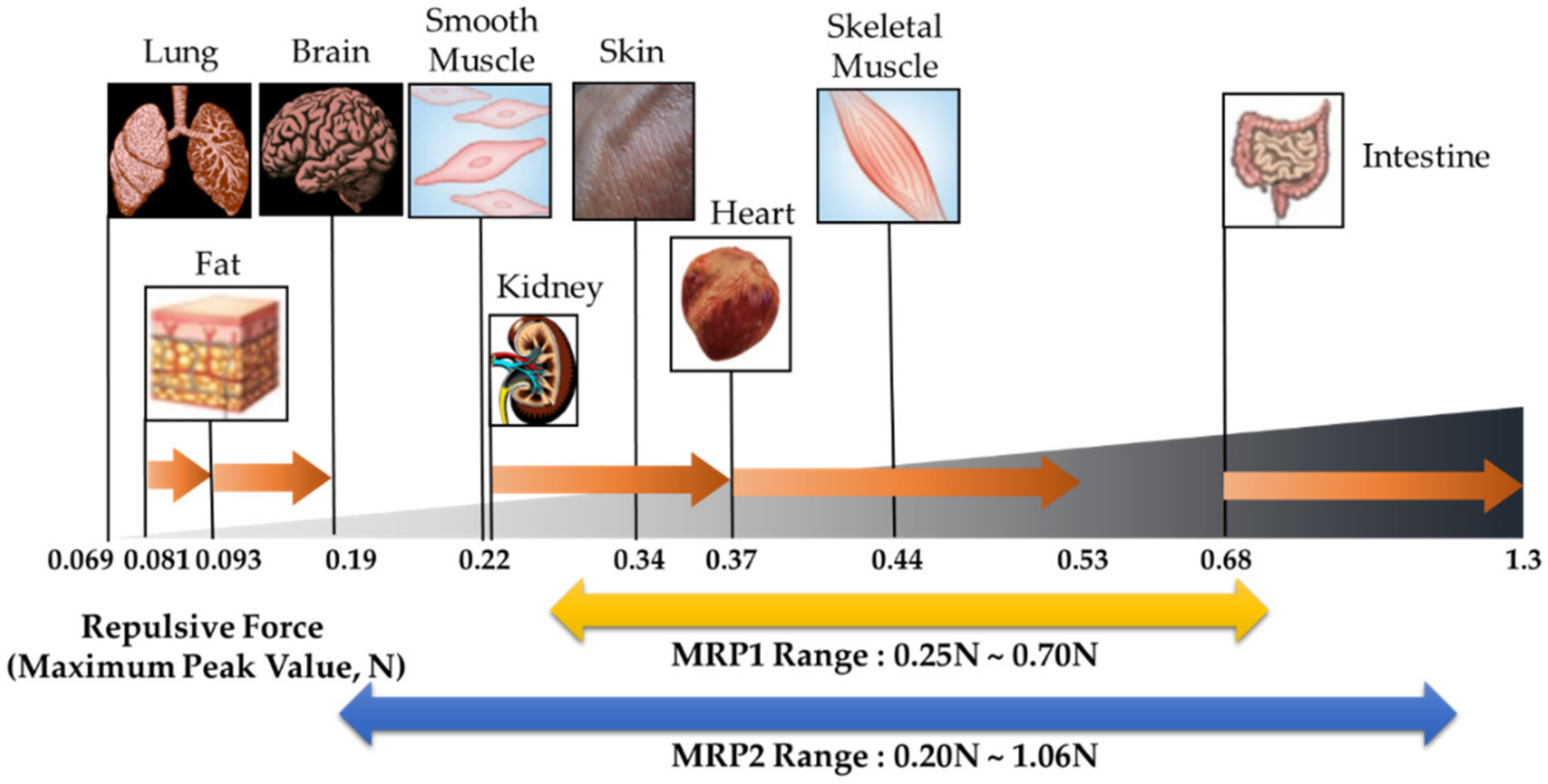 Materials 13 01062 g012 Materials 13 01062 g012