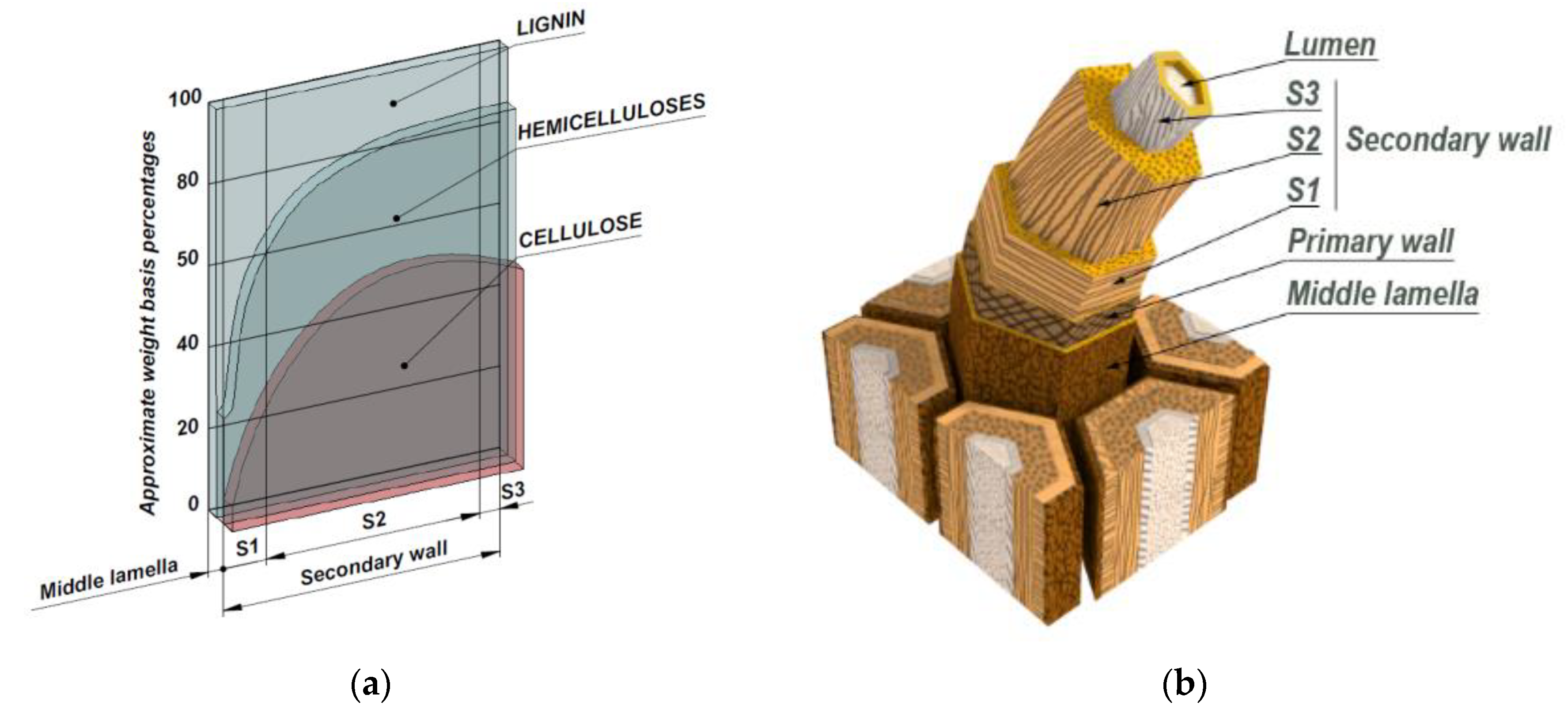 Materials 13 01079 g001