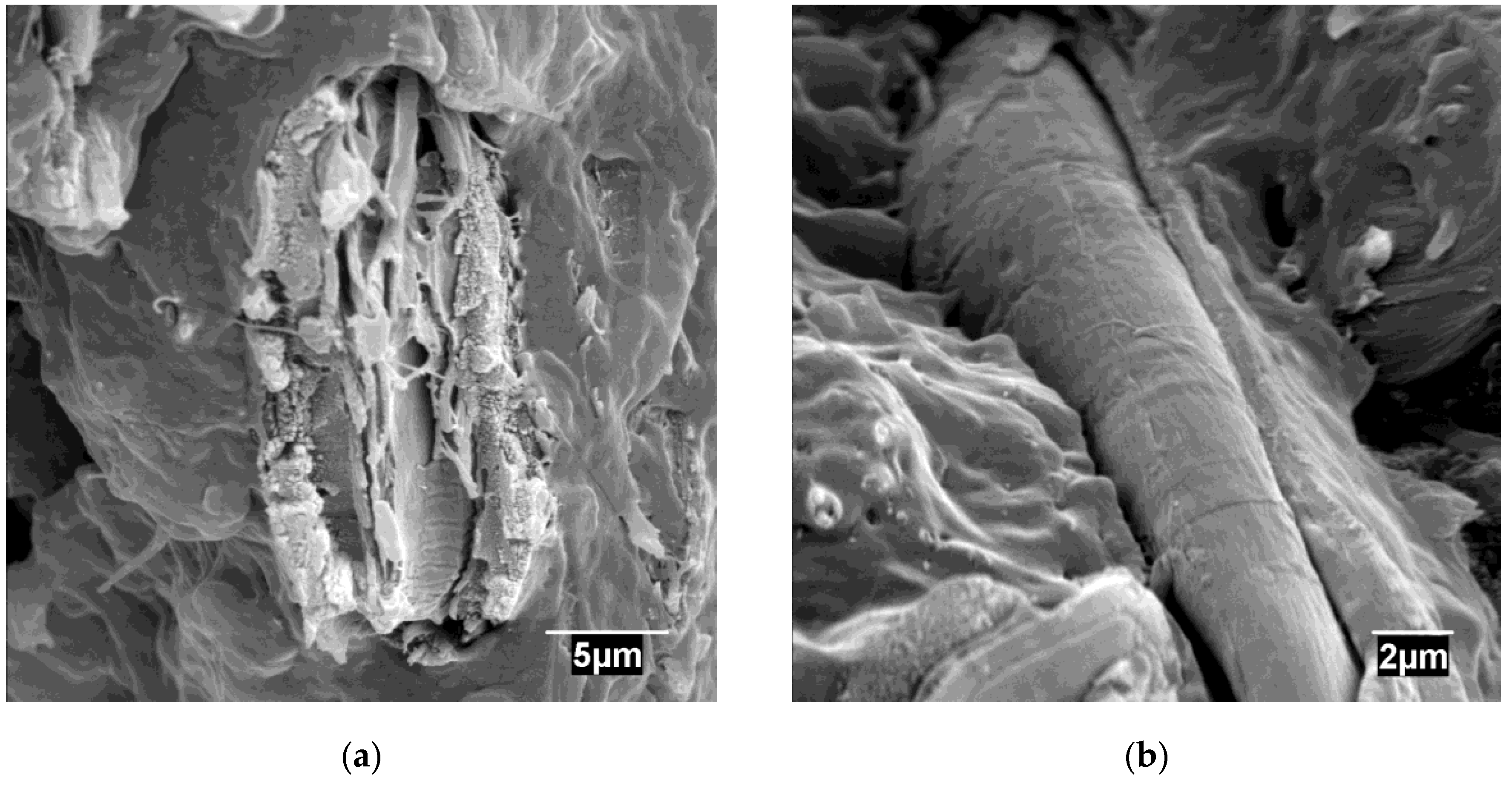 Materials 13 01079 g005