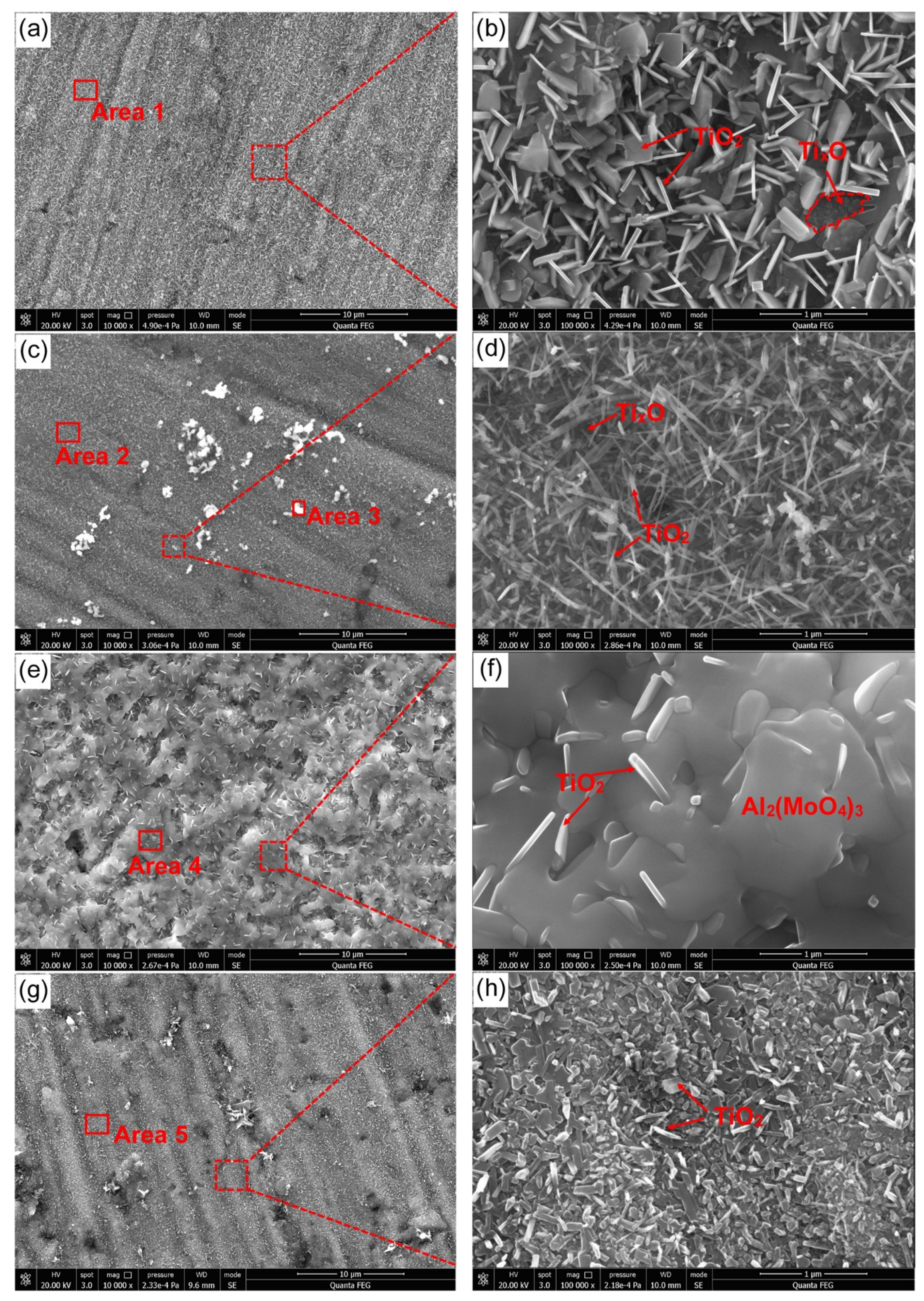 Materials 13 01082 g007