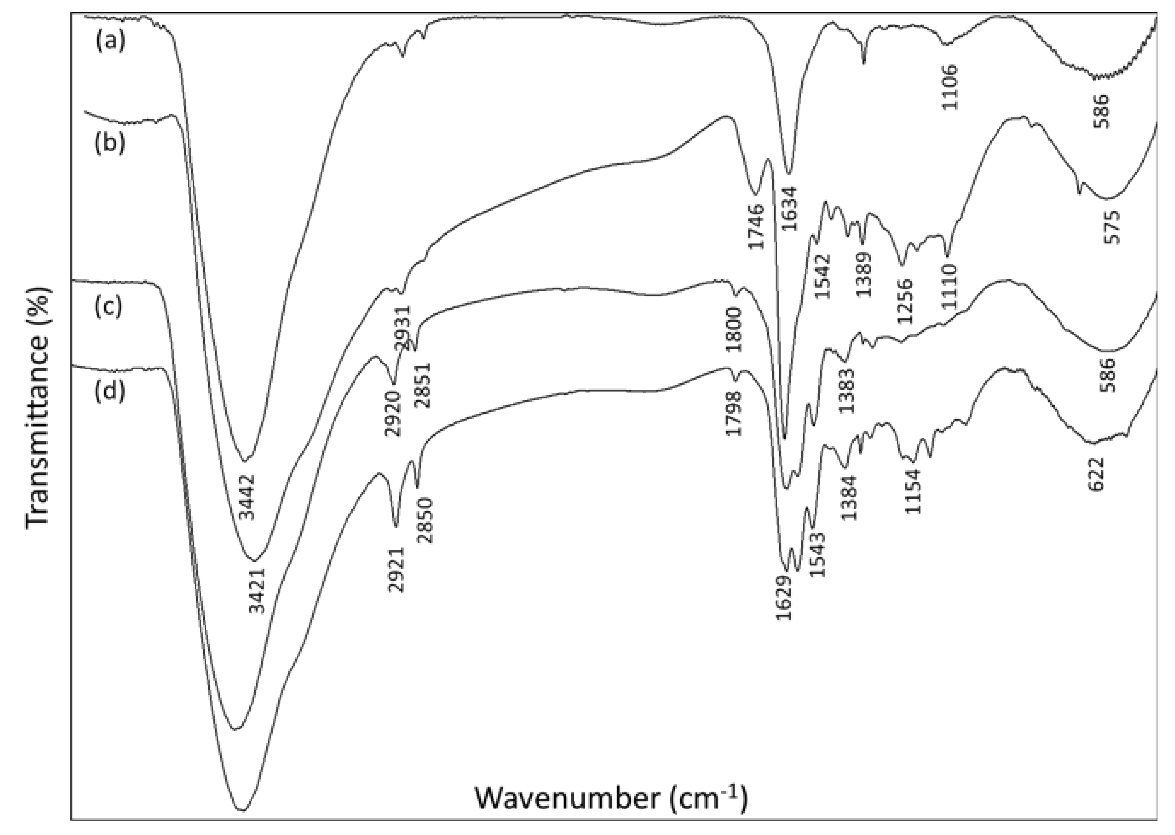 Materials 13 01086 g004